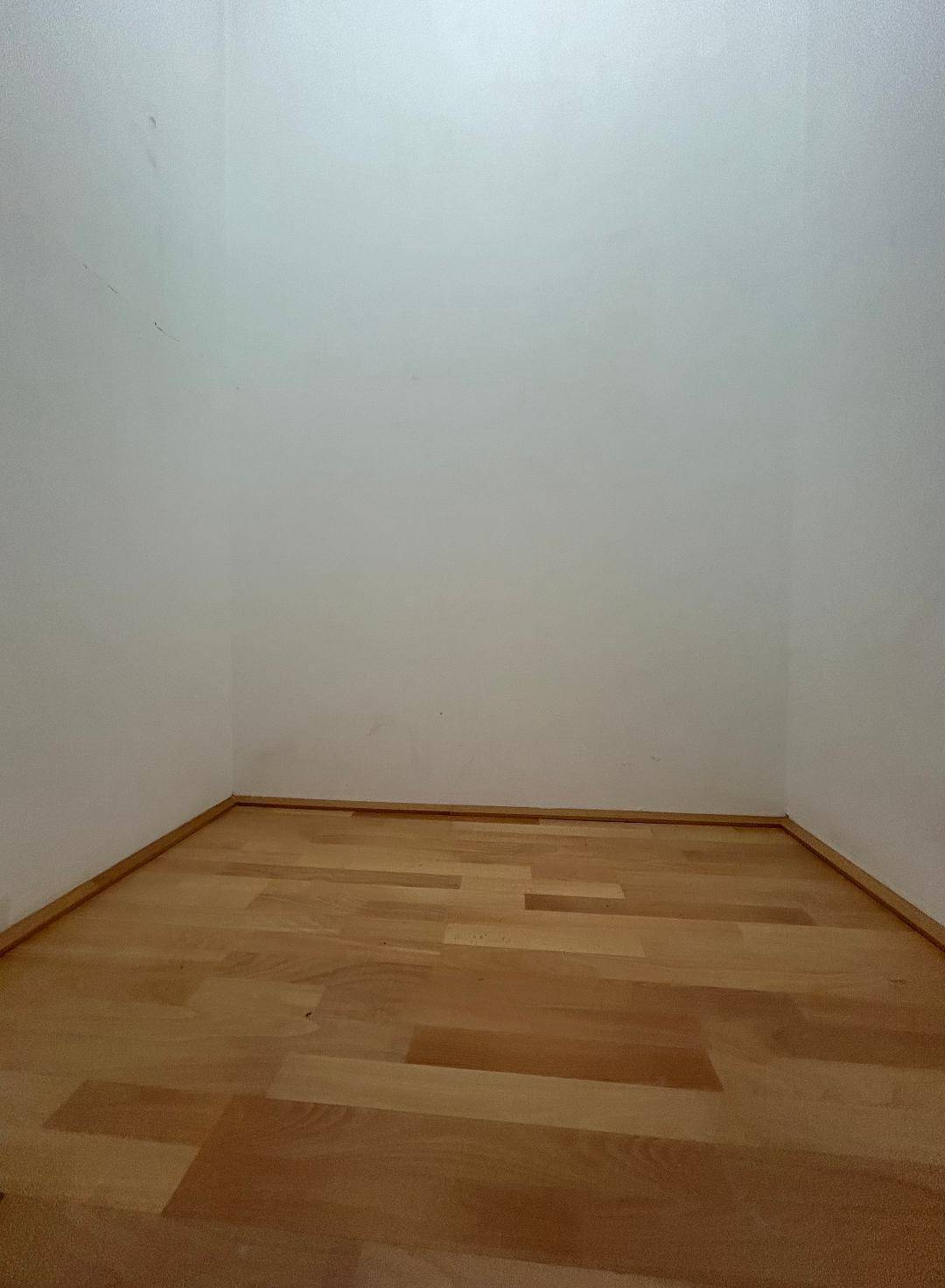Kleiner, leerer Abstellraum mit Parkettboden und weißen Wänden.
