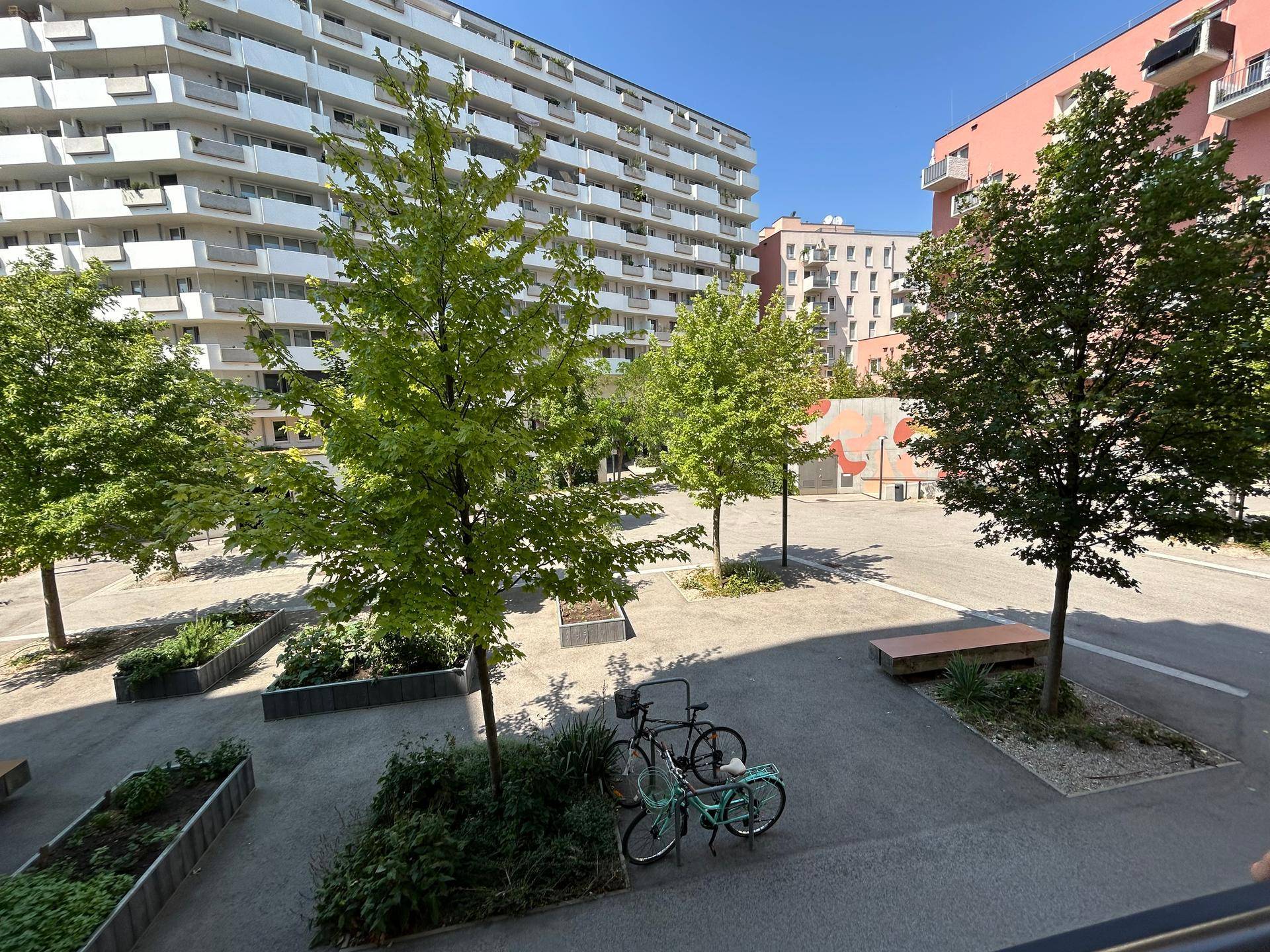 Blick auf den begrünten Innenhof mit Bäumen, Sitzgelegenheiten und Fahrradstellplätzen.