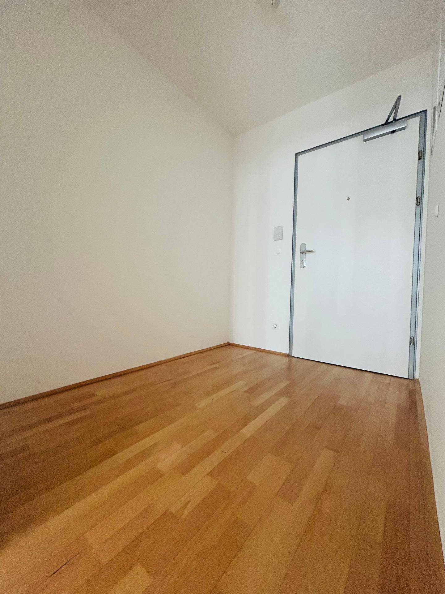 Heller Eingangsbereich mit Parkettboden und weißer Wohnungstür.