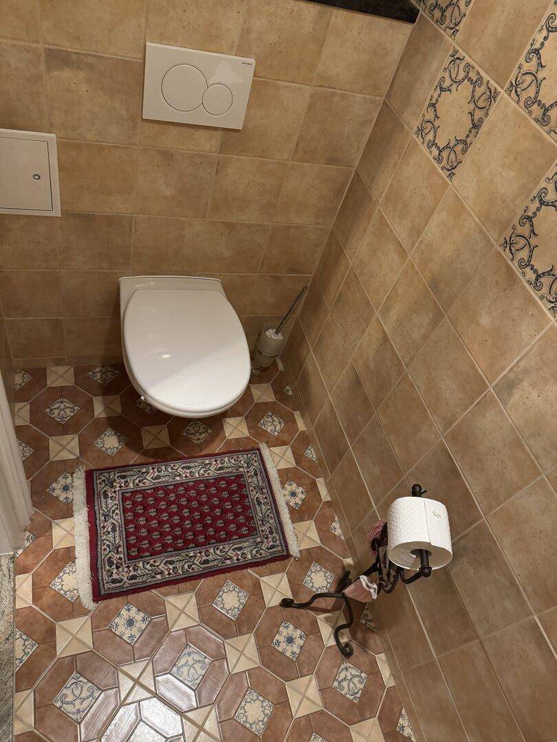 Separate Toilette mit Wand-WC und gemusterten Bodenfliesen.