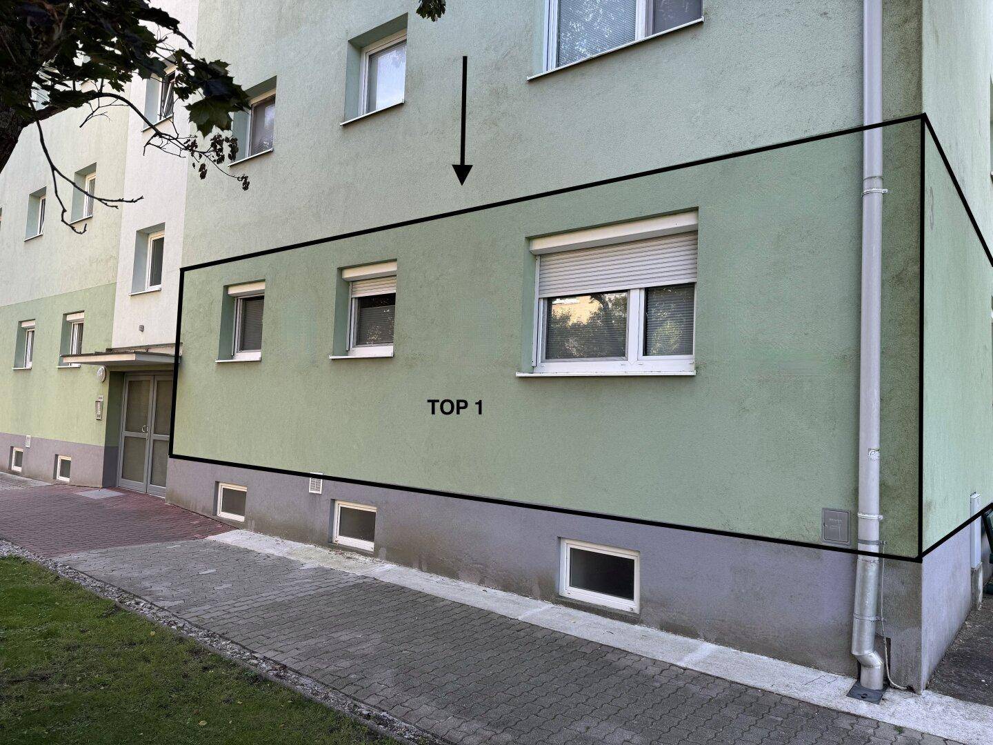 Slide 6