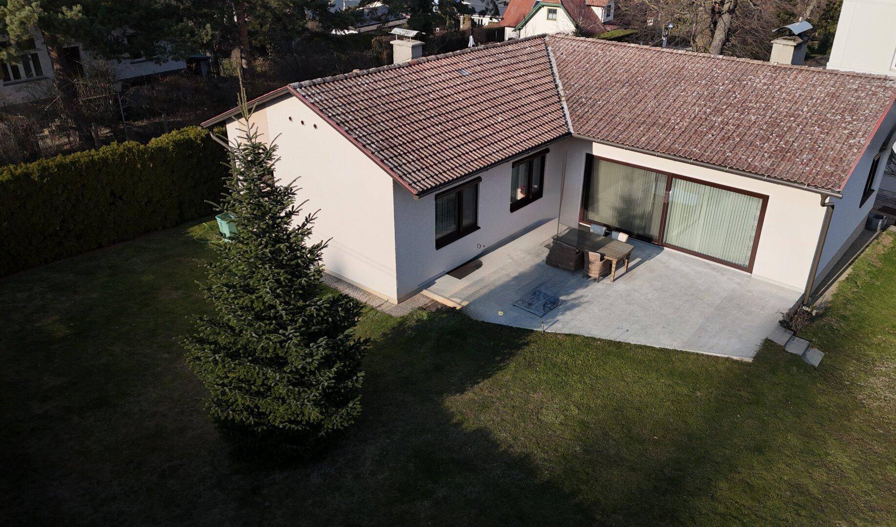Luftaufnahme des Gartens mit großer Rasenfläche, Terrasse und Nadelbaum.