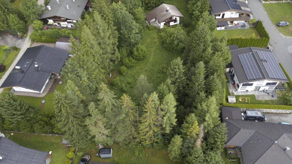 Grünes Grundstück mit dichtem Baumbestand, umgeben von Wohnbebauung aus der Vogelperspektive.
