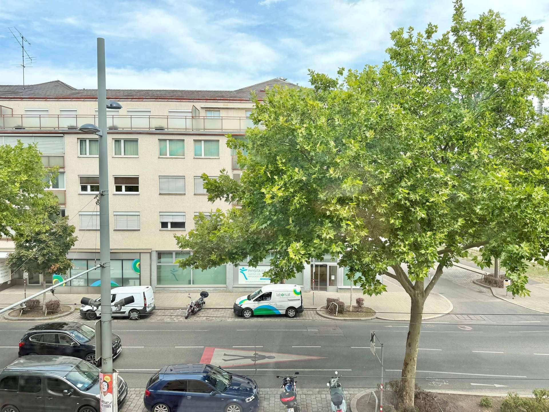 Weitläufiger Blick auf eine belebte Stadtstraße mit Bäumen und umliegenden Gebäuden.