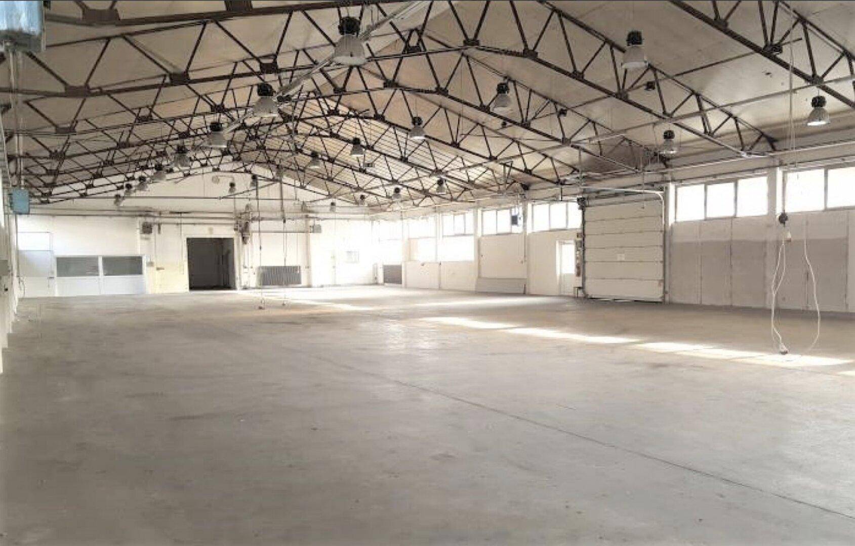 Weitläufige Industriehalle mit sichtbarer Dachkonstruktion, Betonboden und mehreren Rolltoren für Anlieferung.