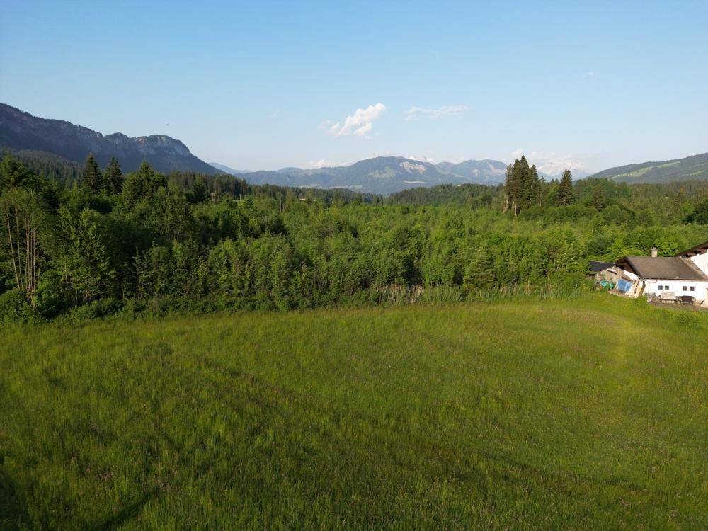 Weitläufige grüne Wiesen und Wälder mit Bergen im Hintergrund, ein Haus am rechten Bildrand.