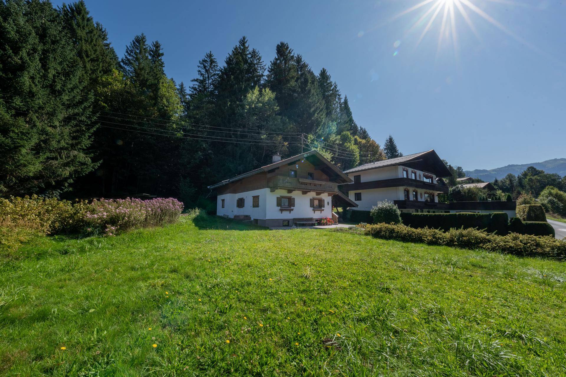 Idyllisches Haus mit traditioneller Architektur, umgeben von einer grünen Wiese und dichtem Wald.