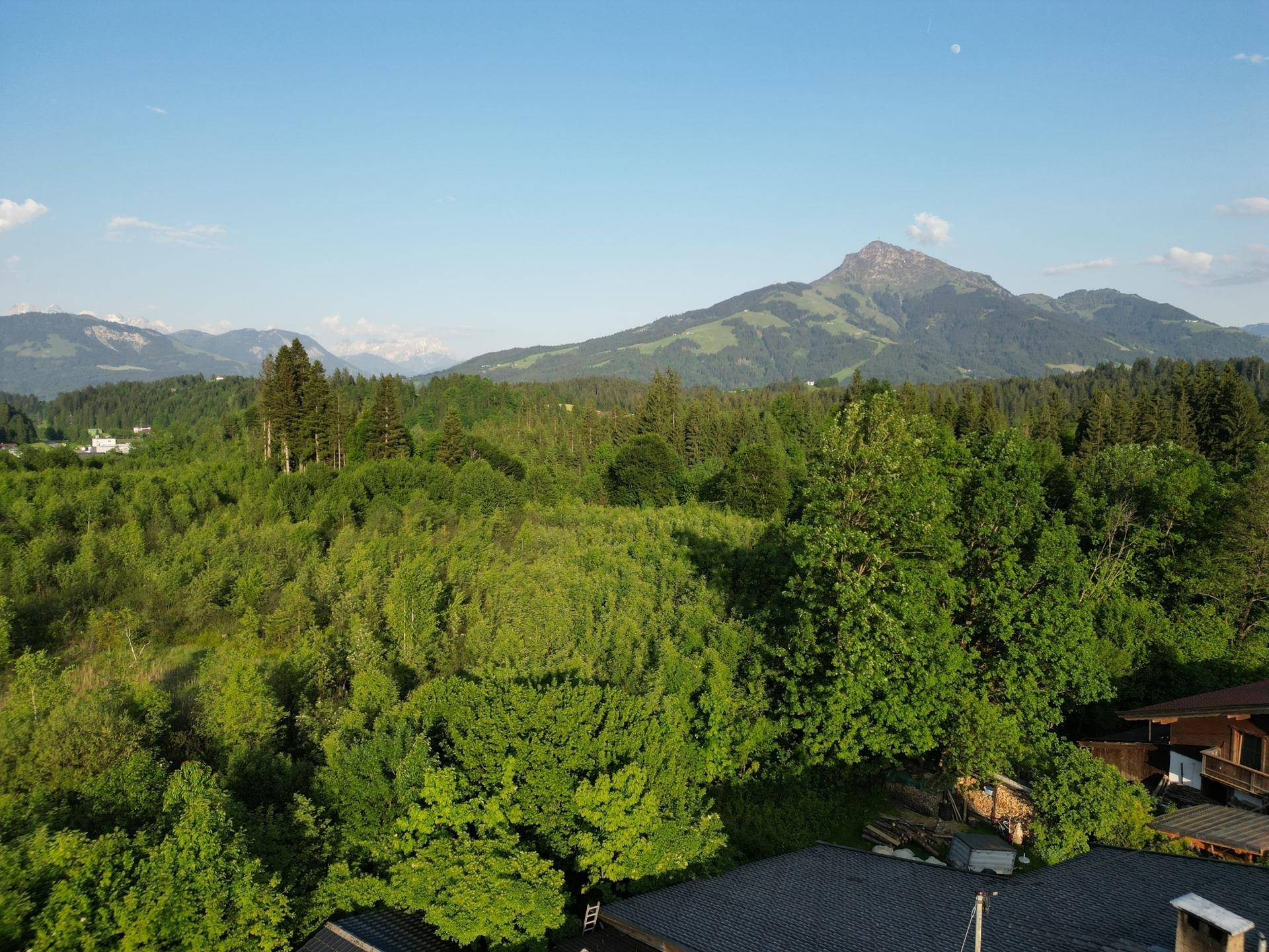DJI_0244