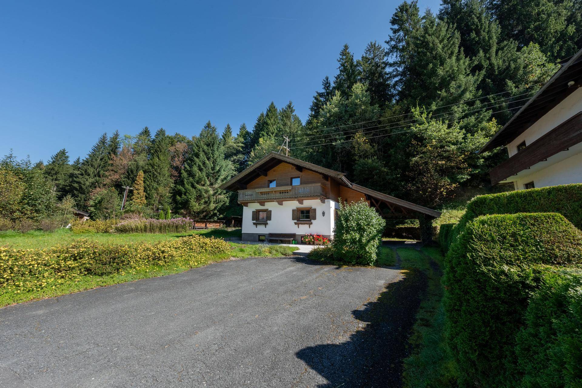 Hausansicht von der Auffahrt mit Carport, umgeben von Hecken und hohen Bäumen.