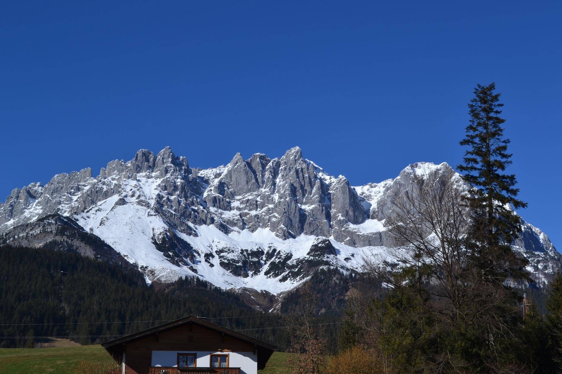 Grundstücks-Rarität: Bis zu 900 m² Wohnfläche in absoluter Bestlage der Kitzbüheler Alpen/Going - Ansicht 6