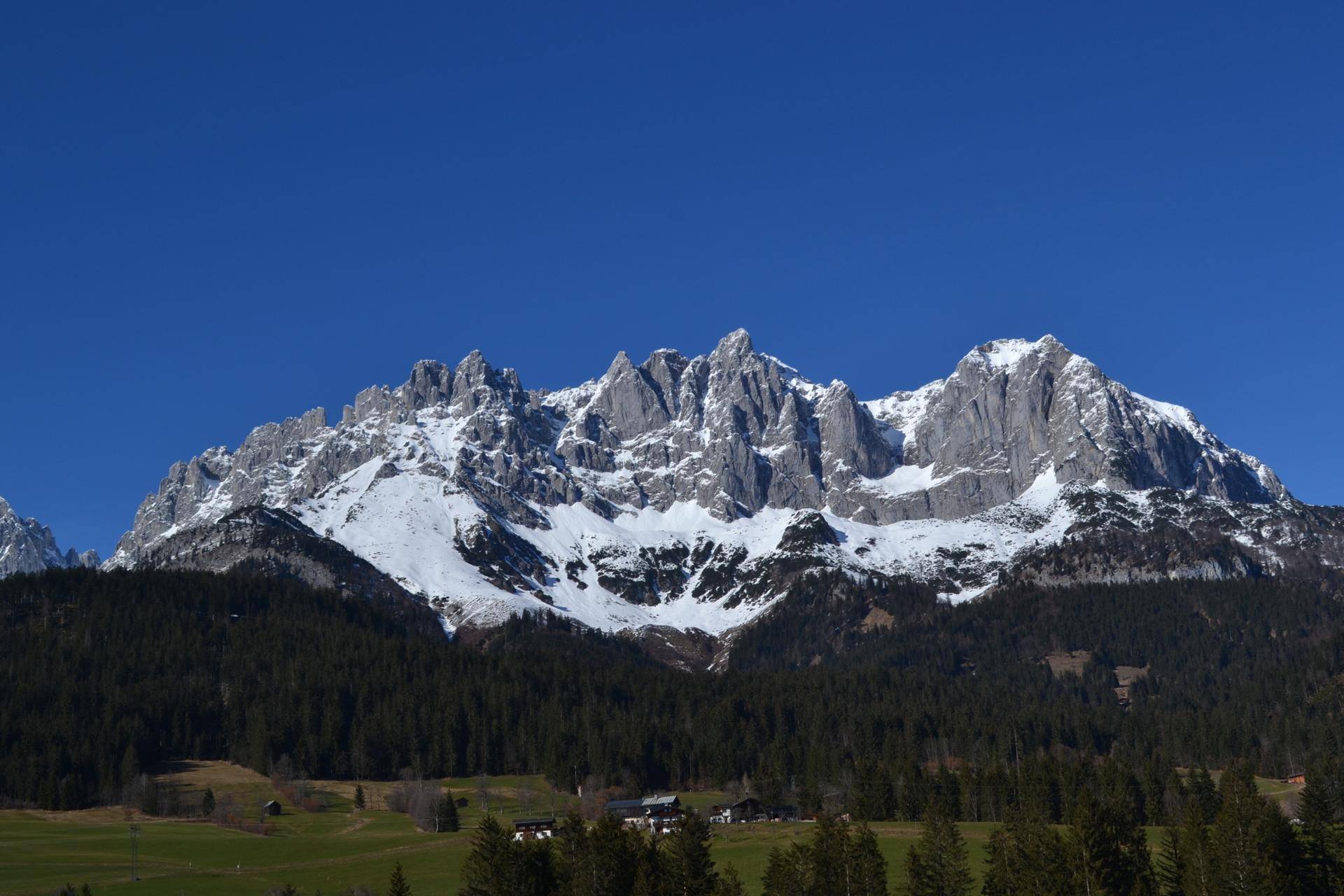 Beeindruckendes Panorama schneebedeckter Berggipfel mit dichtem Nadelwald im Vordergrund unter blauem Himmel.