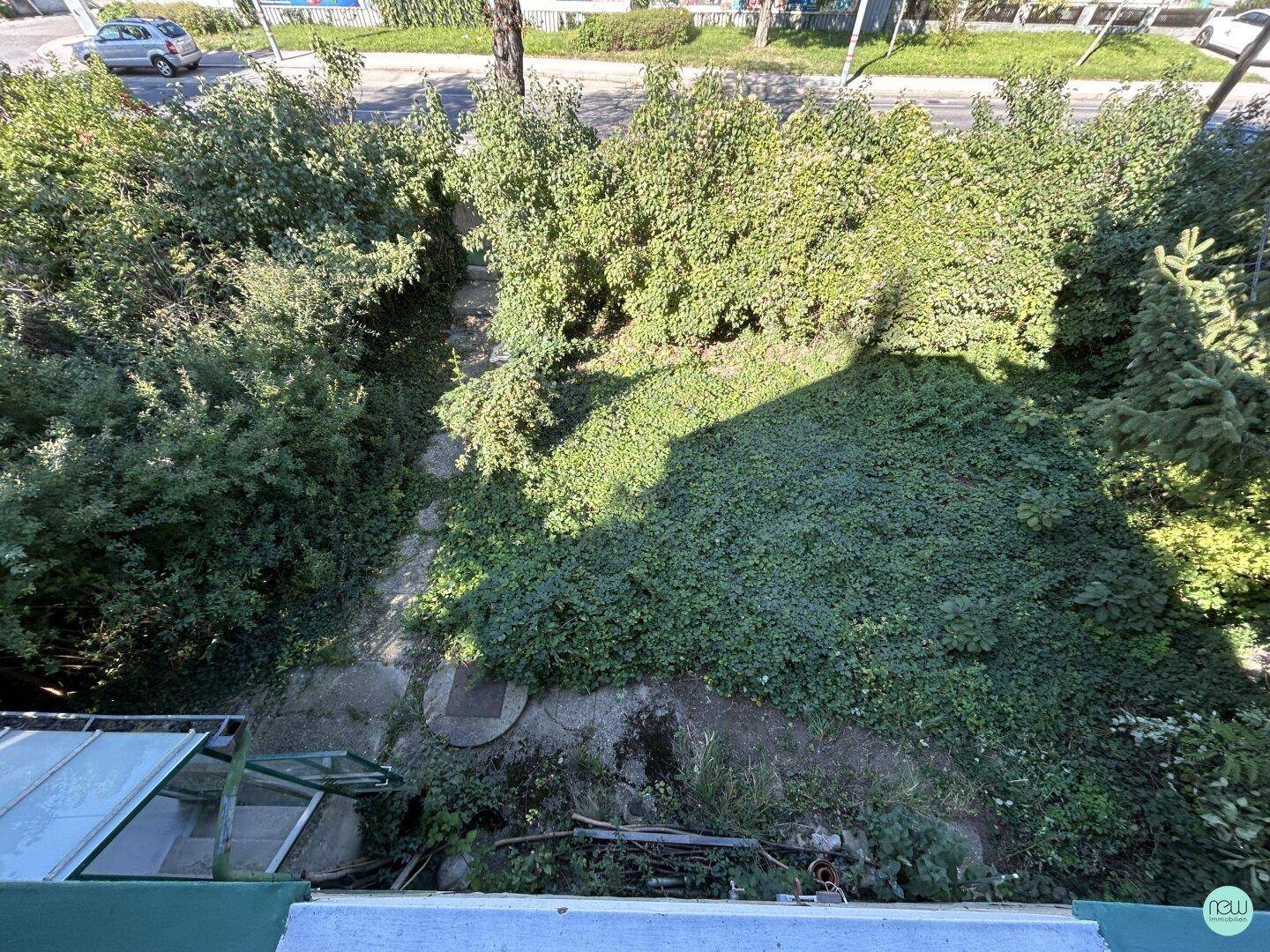 Blick von oben in einen verwilderten Gartenbereich mit dichtem Grün und einem Pfad.