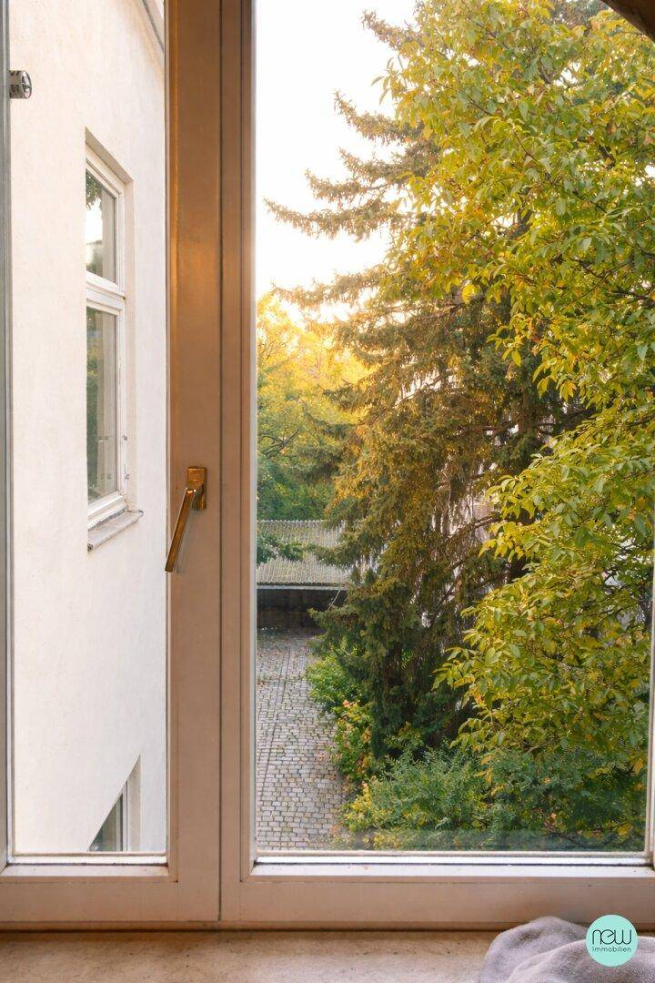 Blick aus dem Fenster auf einen grünen Innenhof mit Bäumen und viel Sonnenlicht.