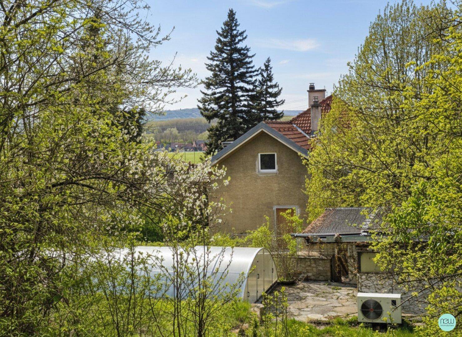 JUWEL MIT VISION: GROSSES GRUNDSTÜCK - DIREKT AM BISAMBERG - WESTAUSRICHTUNG - Vista 3