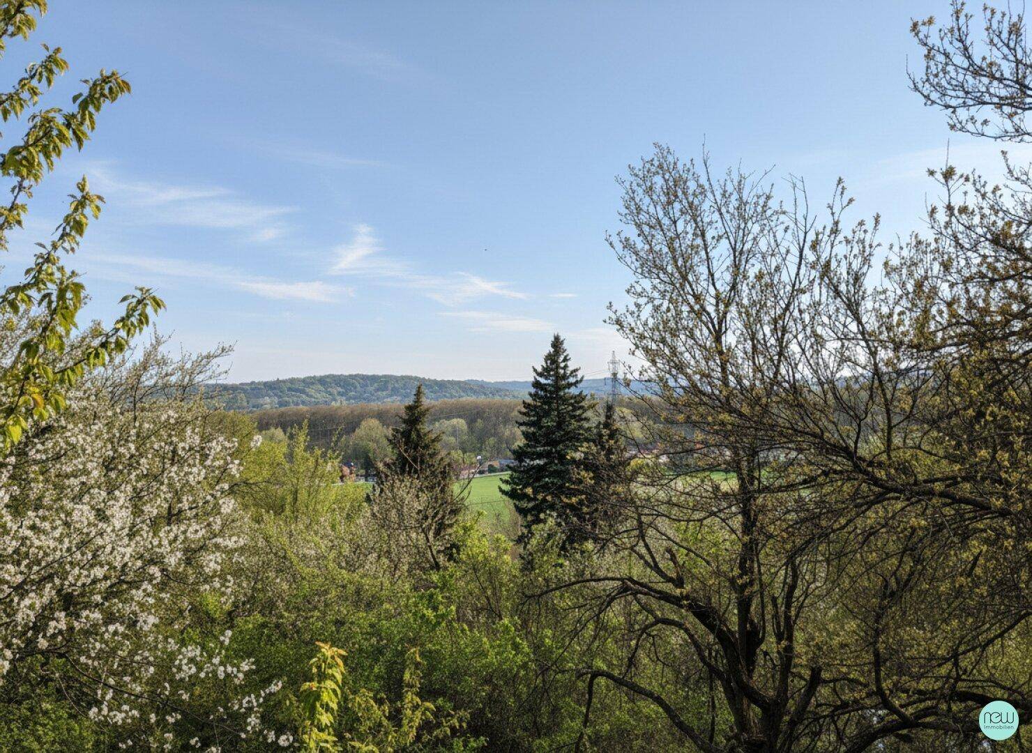 JUWEL MIT VISION: GROSSES GRUNDSTÜCK - DIREKT AM BISAMBERG - WESTAUSRICHTUNG - Vista 6