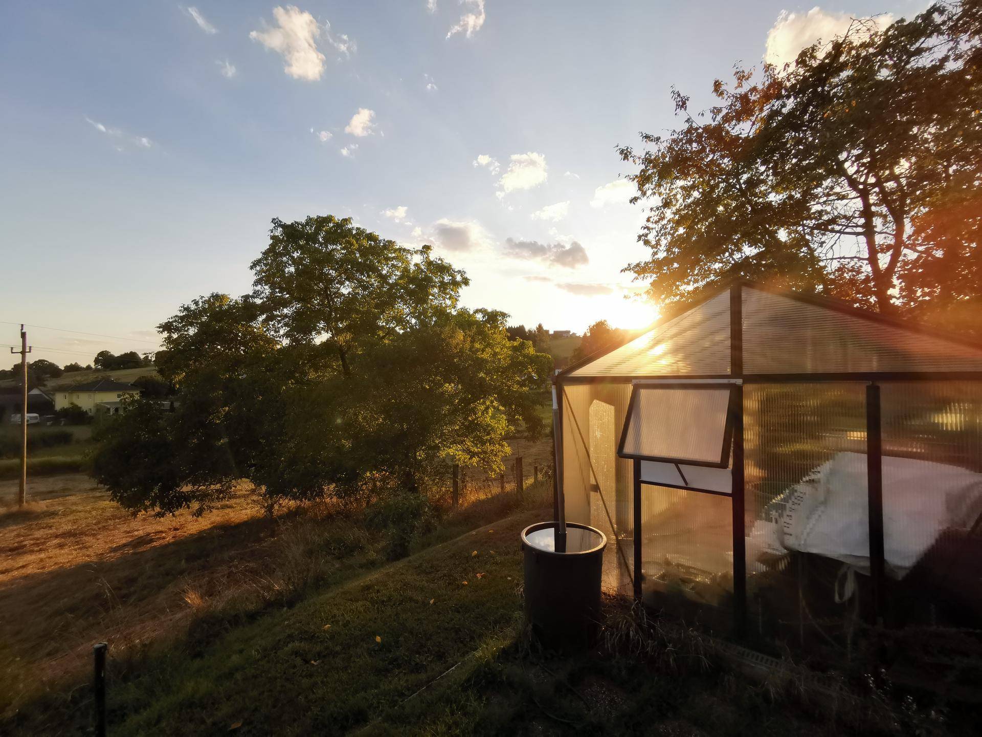 Gewächshaus im Garten bei Sonnenuntergang, umgeben von Bäumen und ländlicher Idylle.