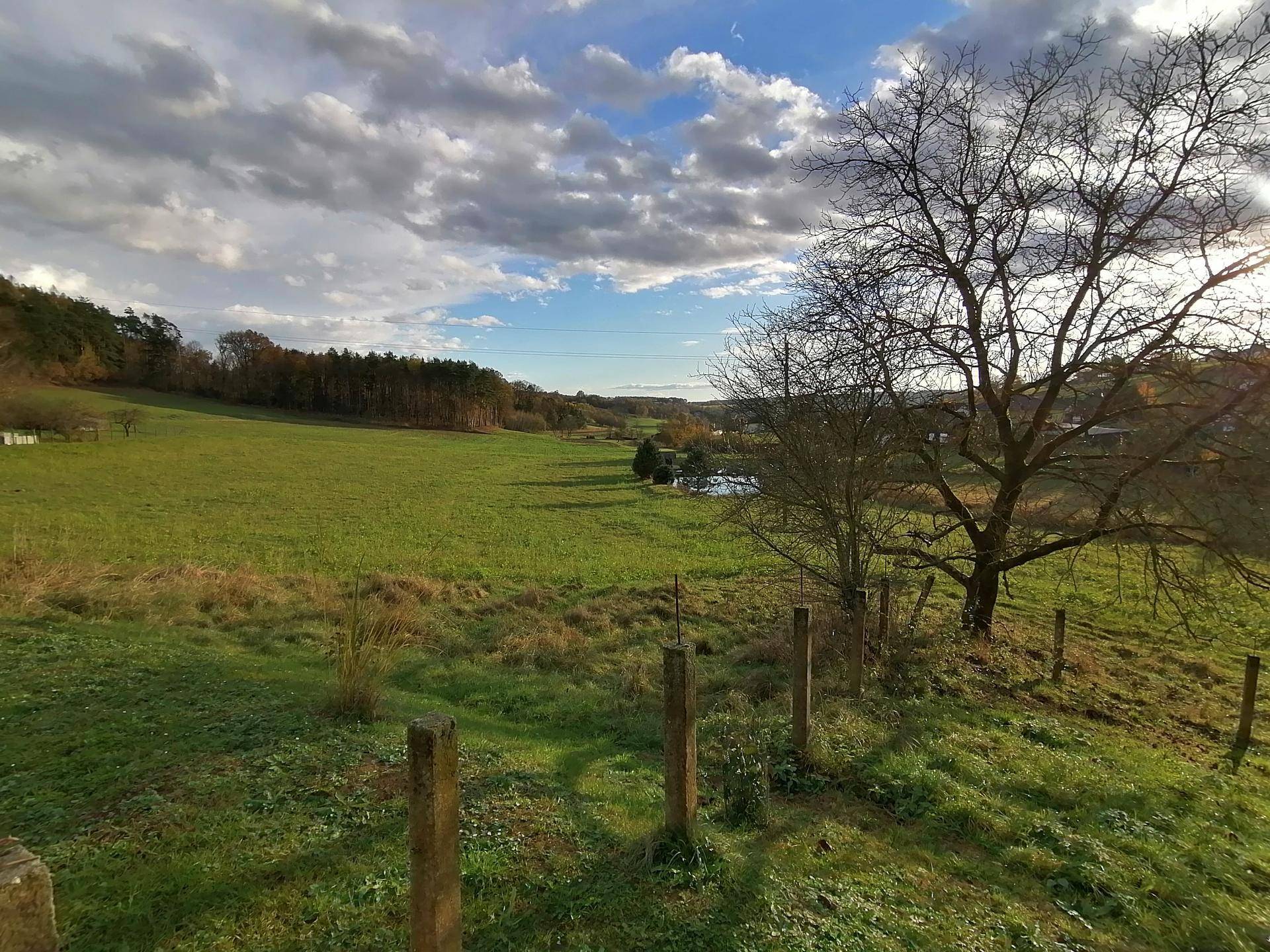 Weitläufige grüne Landschaft mit Bäumen und einem weiten Blick in die Ferne unter bewölktem Himmel.