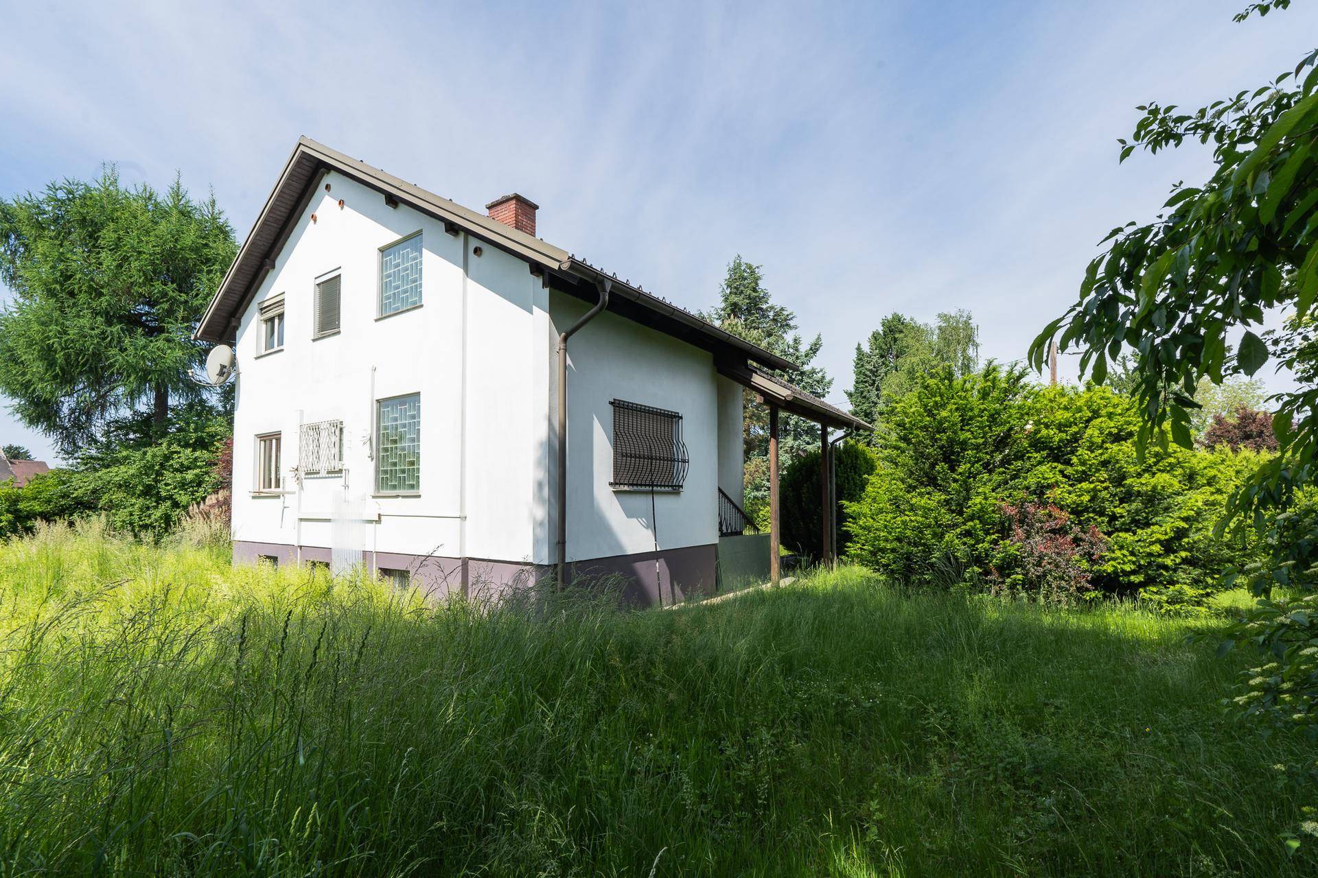 Seitenansicht des Hauses mit großem, ungemähtem Gartenbereich unter blauem Himmel.