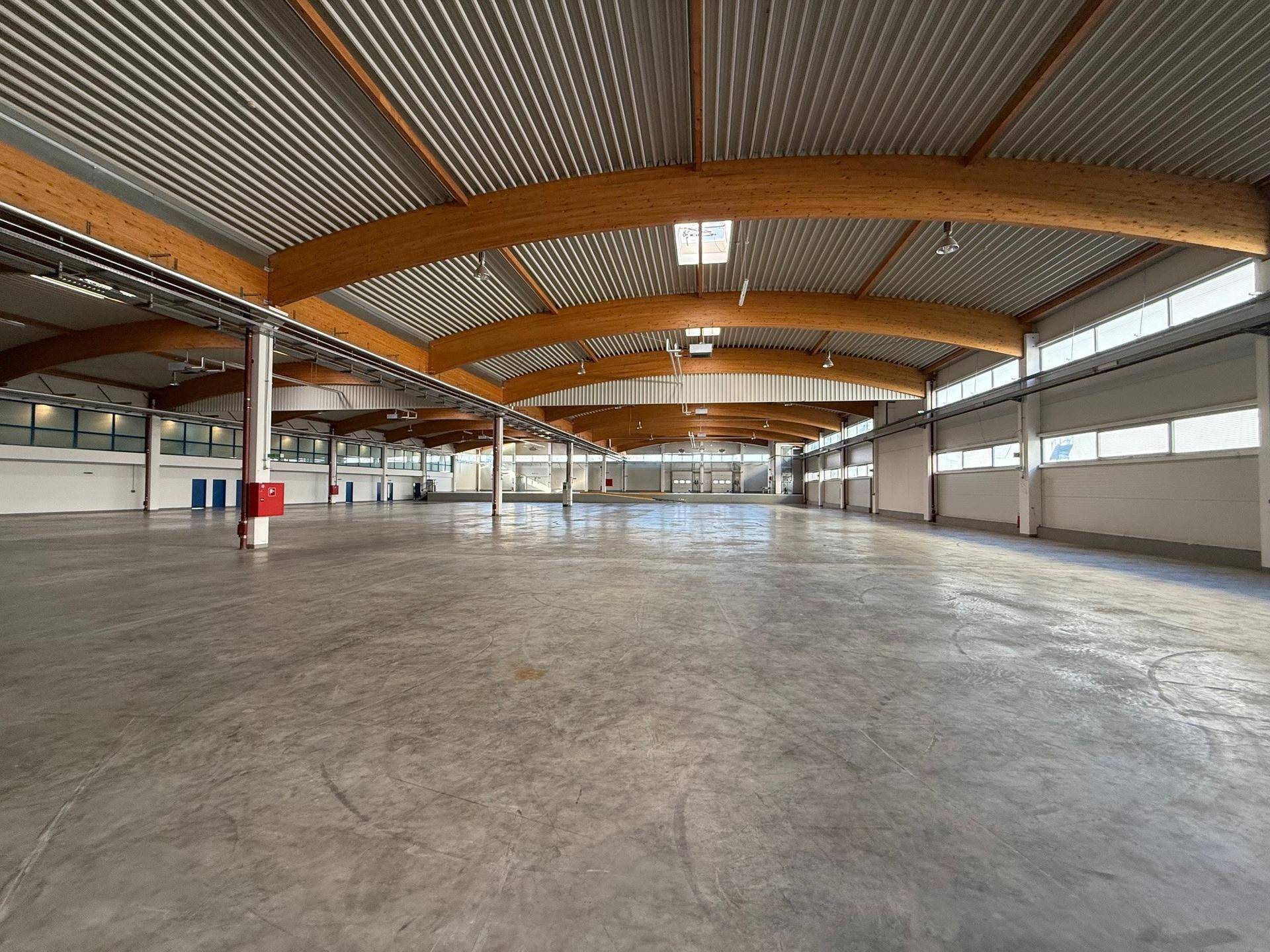 Große, leere Lagerhalle mit hohen Decken, sichtbaren Holzträgern und Betonboden, gut beleuchtet durch Oberlichter.