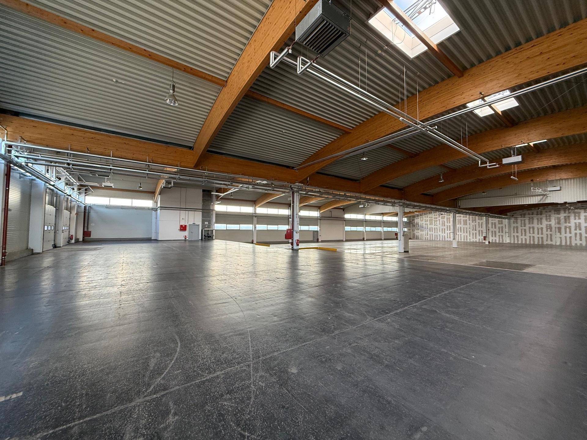 Geräumige Lagerhalle mit hohen Decken, Holzträgern und Betonboden, gut beleuchtet durch Fenster und Oberlichter.