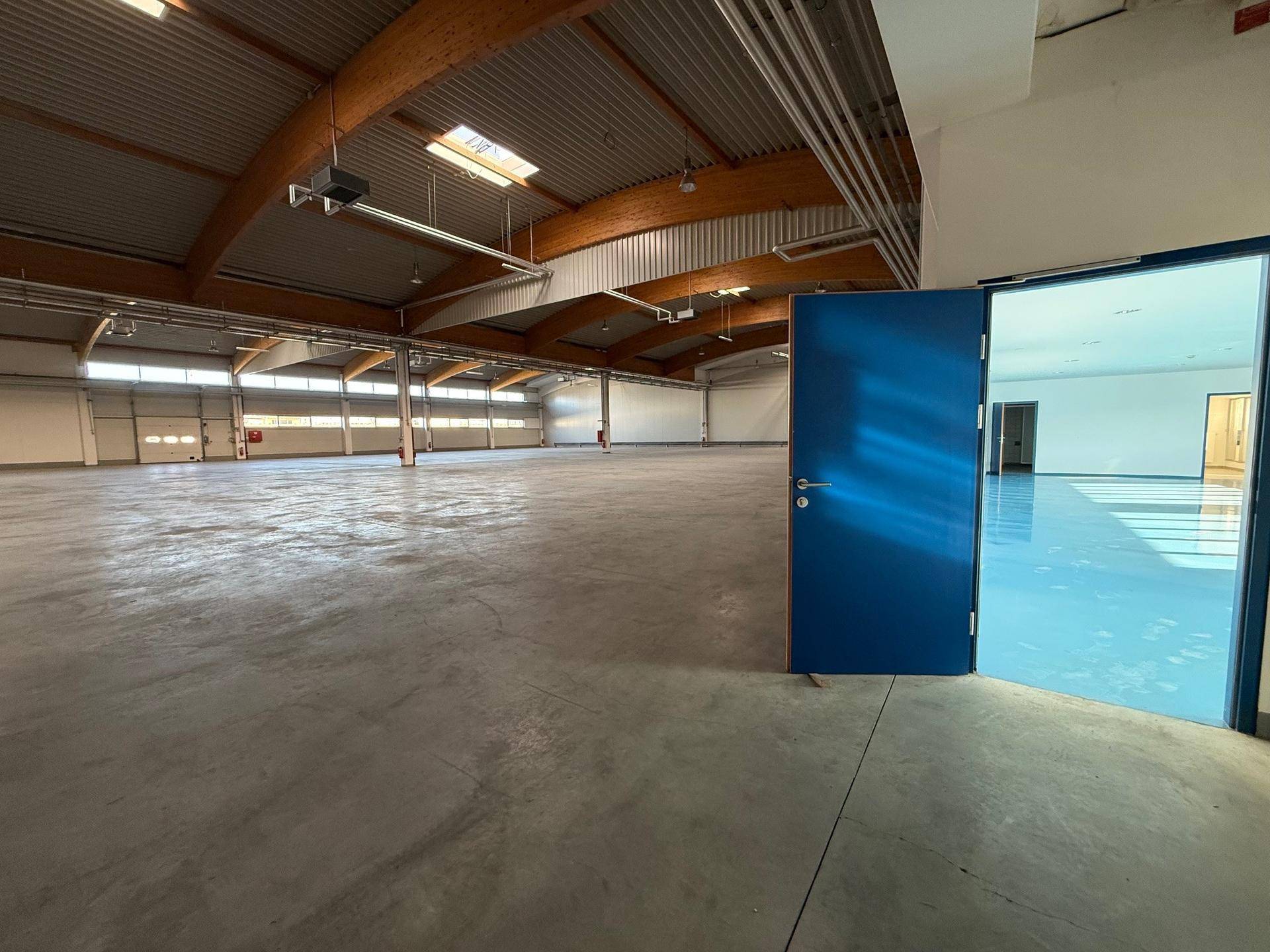 Große, leere Lagerhalle mit hohen Decken und Betonboden, eine blaue Tür führt zu einem angrenzenden Raum.