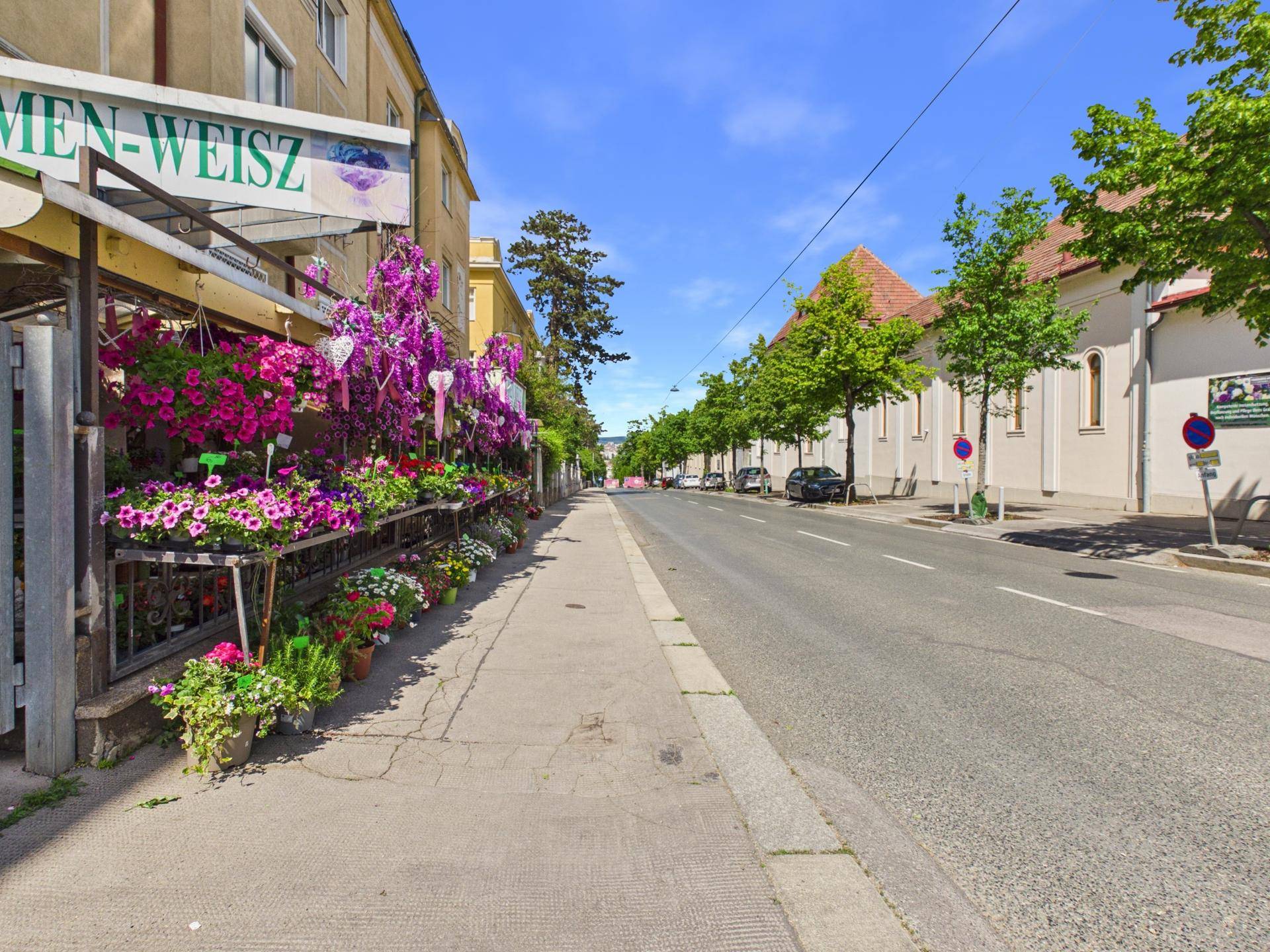 Lebhafter Straßenabschnitt mit einem Blumengeschäft, das bunte Blumen und Pflanzen präsentiert.