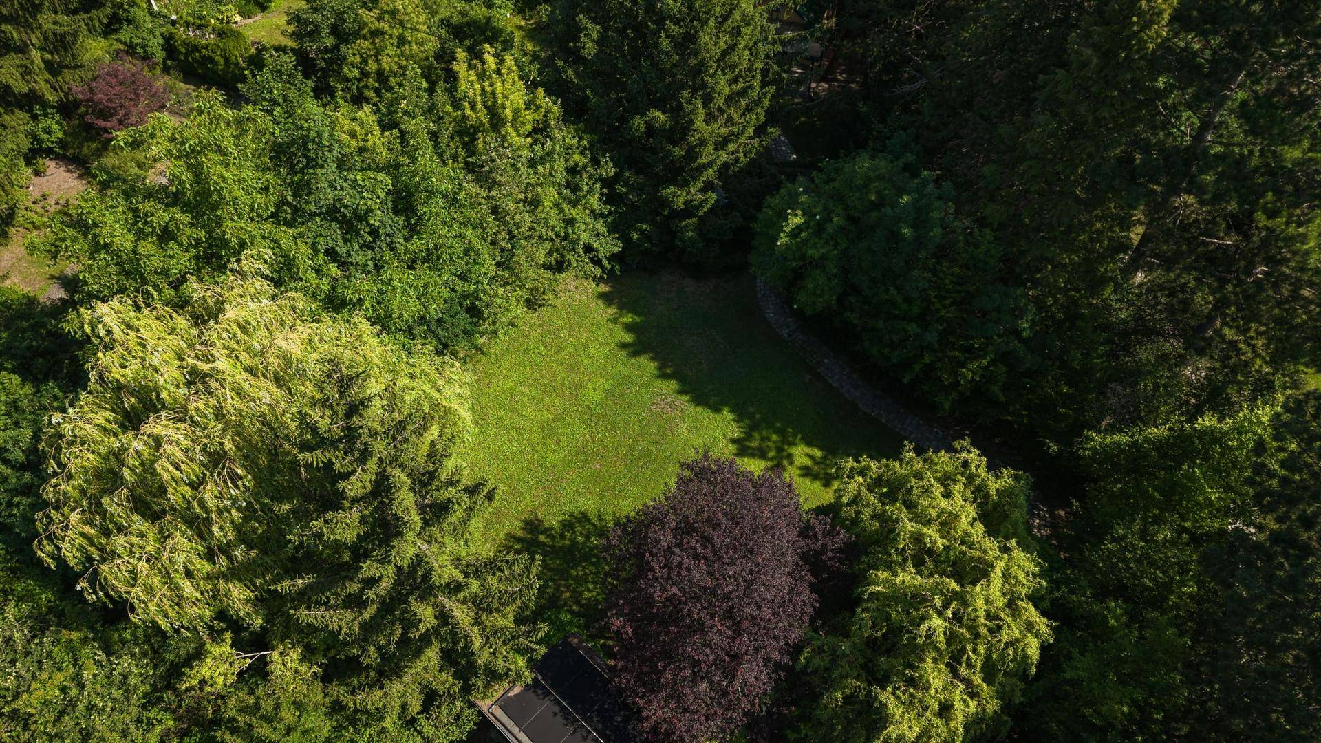 Grüne Gartenfläche von oben gesehen, umgeben von dichtem Baumbestand und Sträuchern.