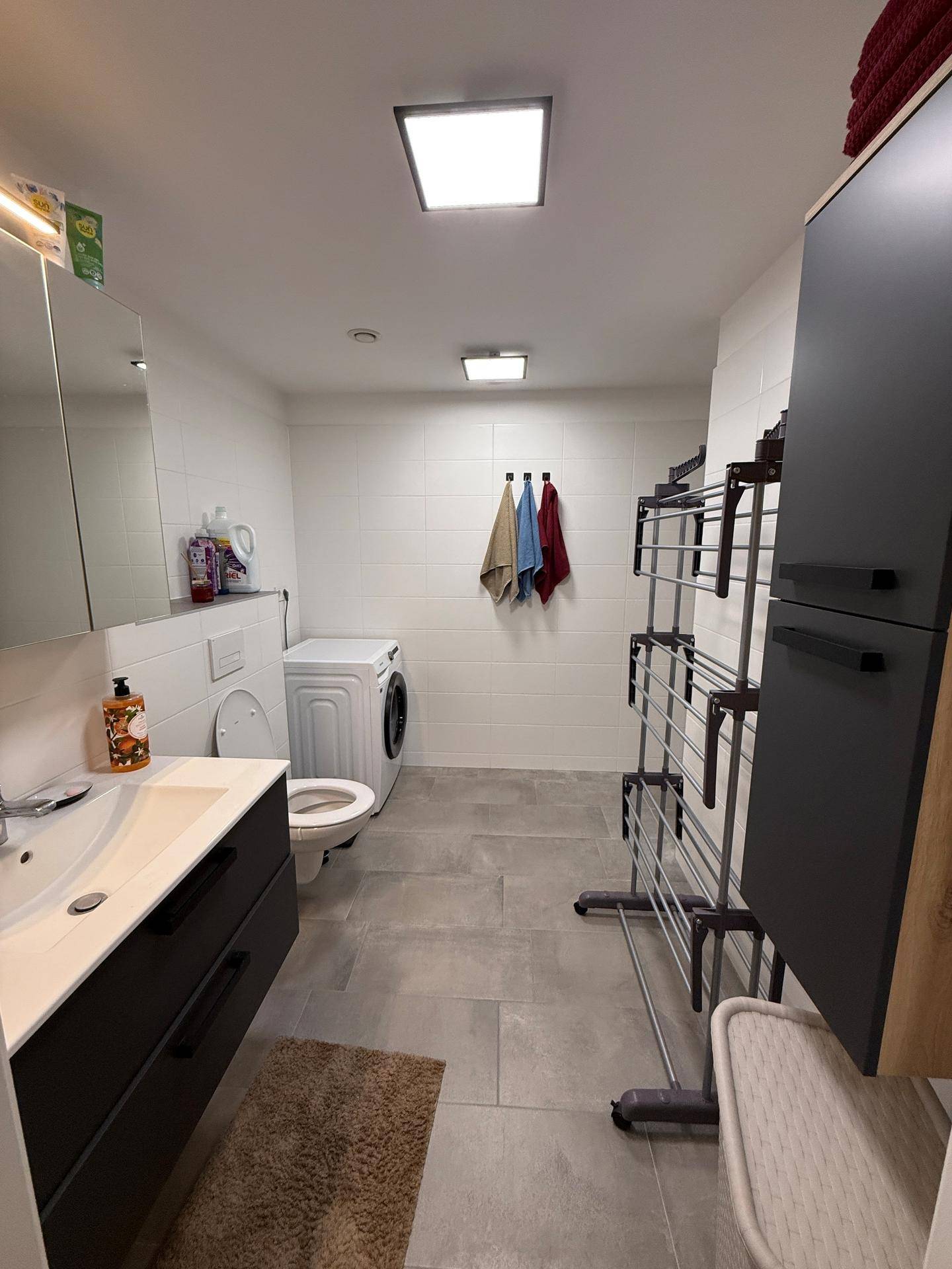 Modernes Badezimmer mit Toilette, Waschbecken, Waschmaschine und Trockenständer.