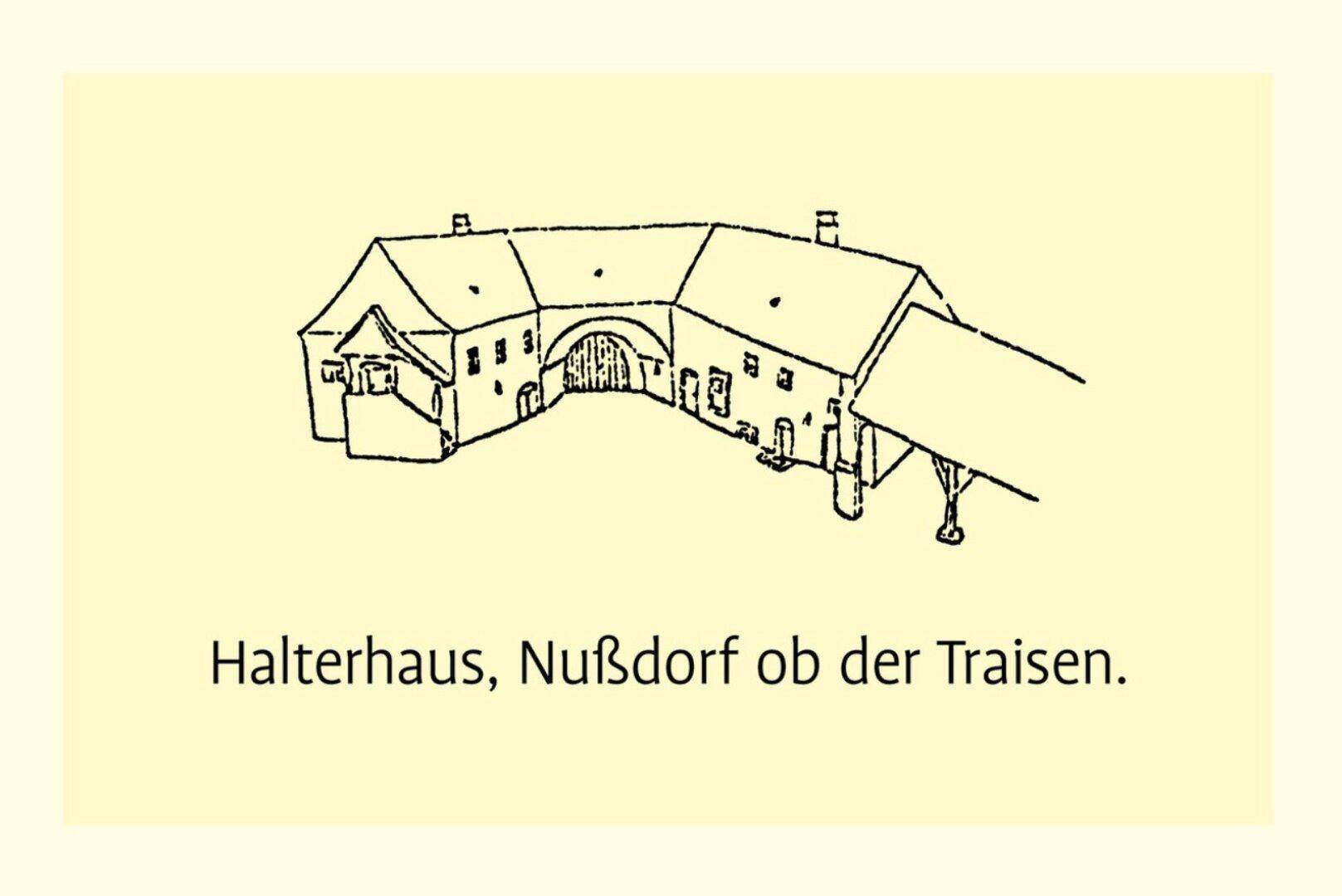 Slide 7