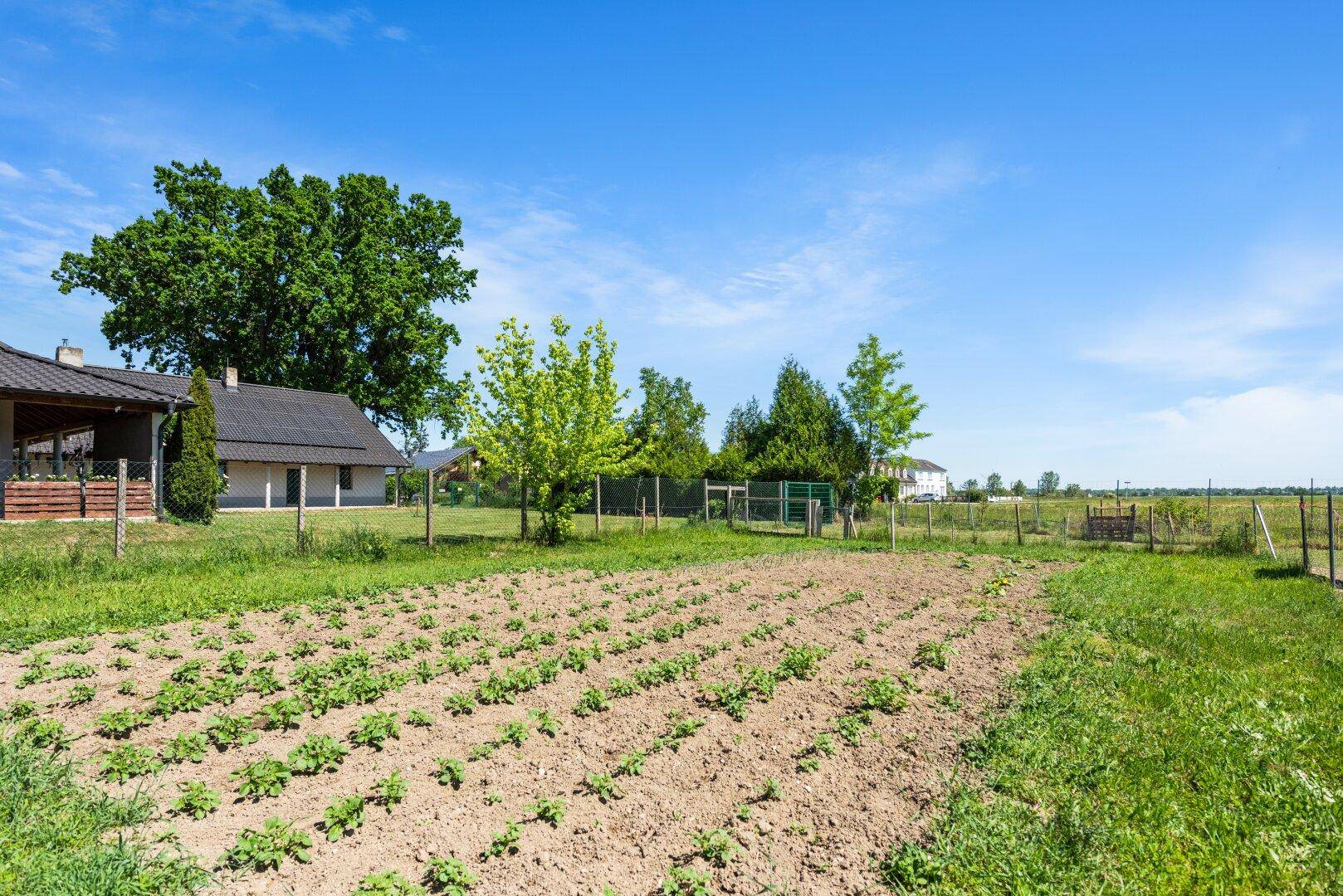 Angelegter Gemüsegarten mit jungen Pflanzen und Blick auf das ländliche Anwesen.