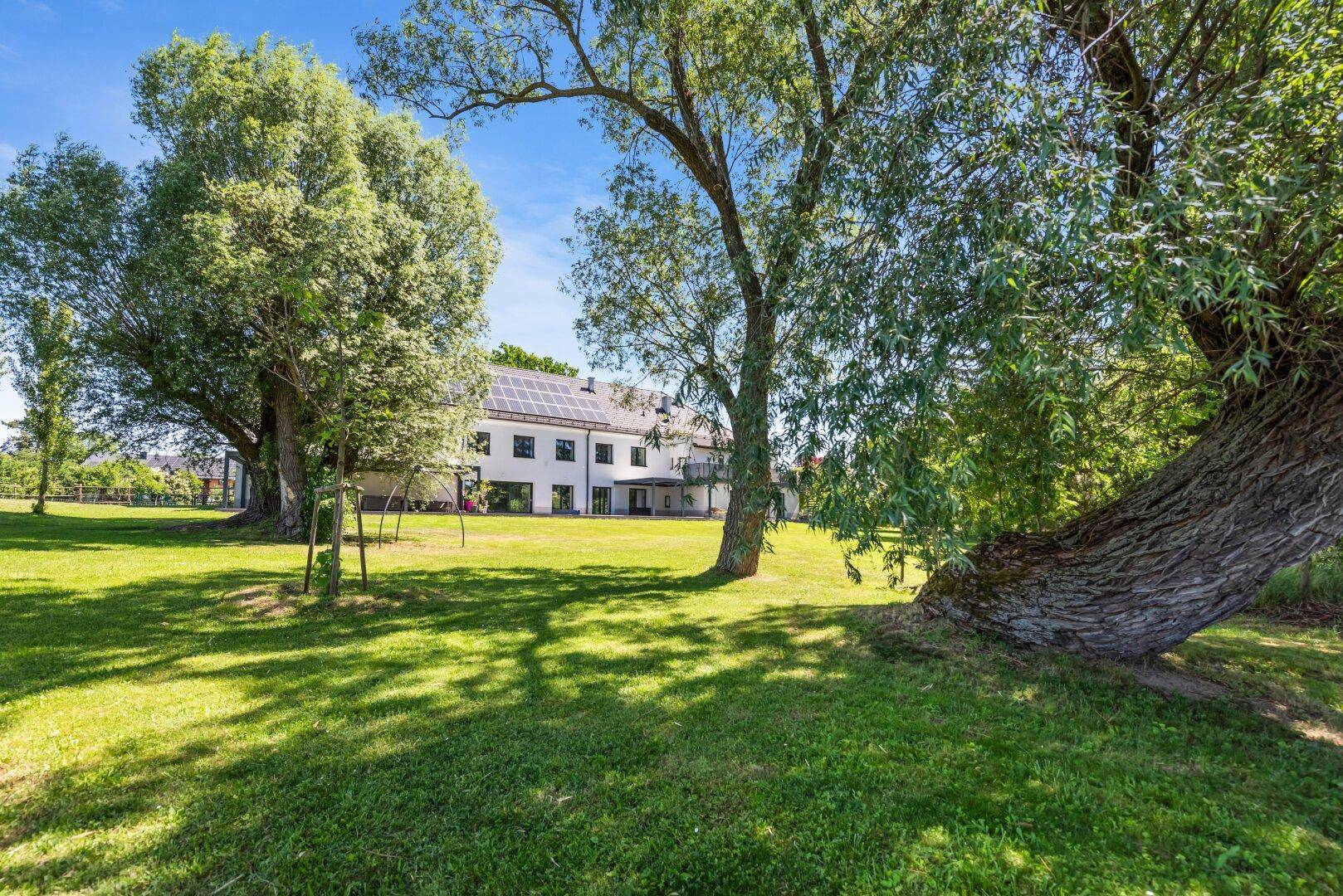 Weitläufiger Garten mit großen Bäumen und Blick auf die Rückseite des Hauses mit Solaranlage.
