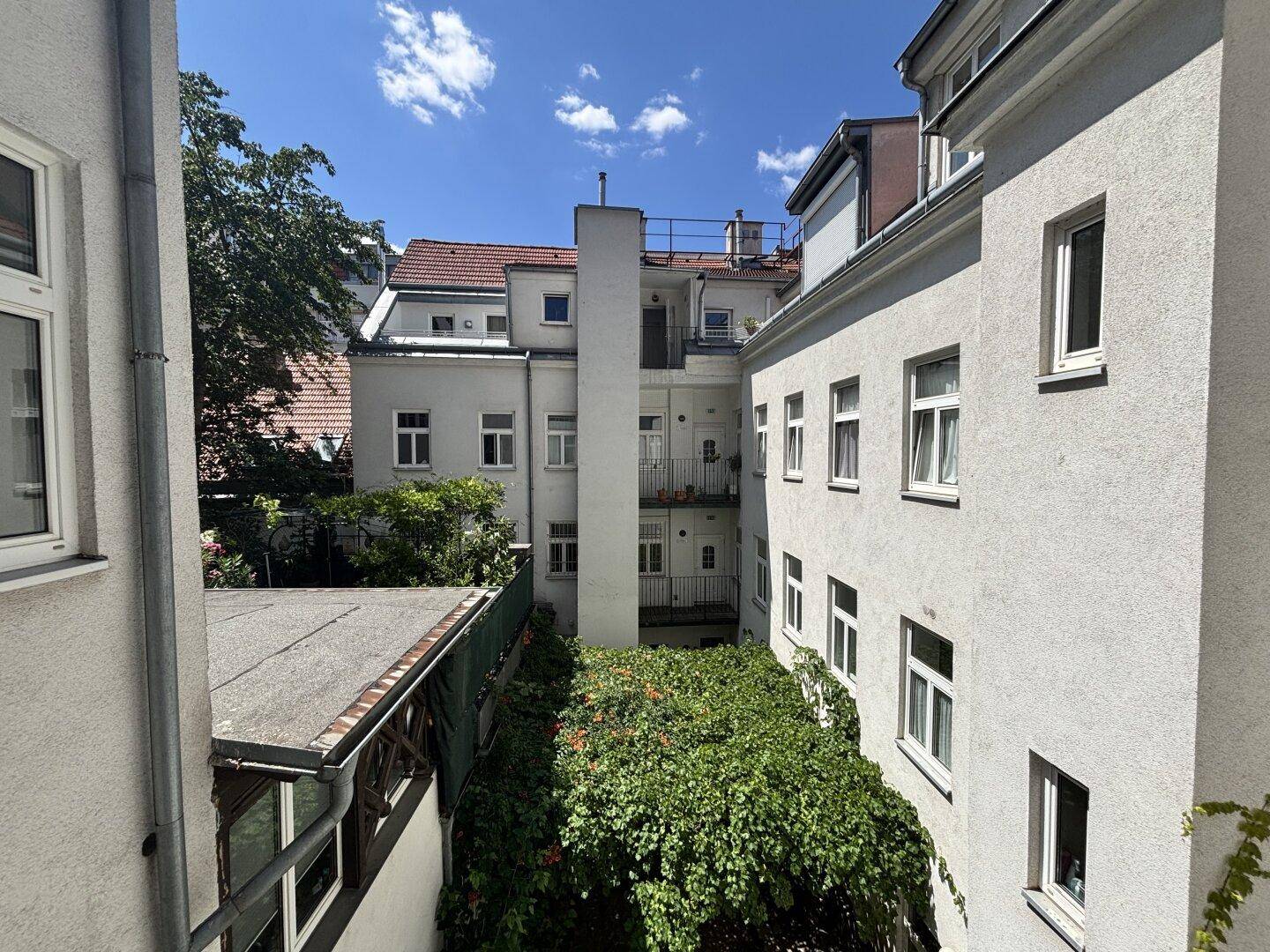 Blick in einen sonnigen Innenhof mit mehreren Altbauten, vielen Fenstern und üppigem Grün.