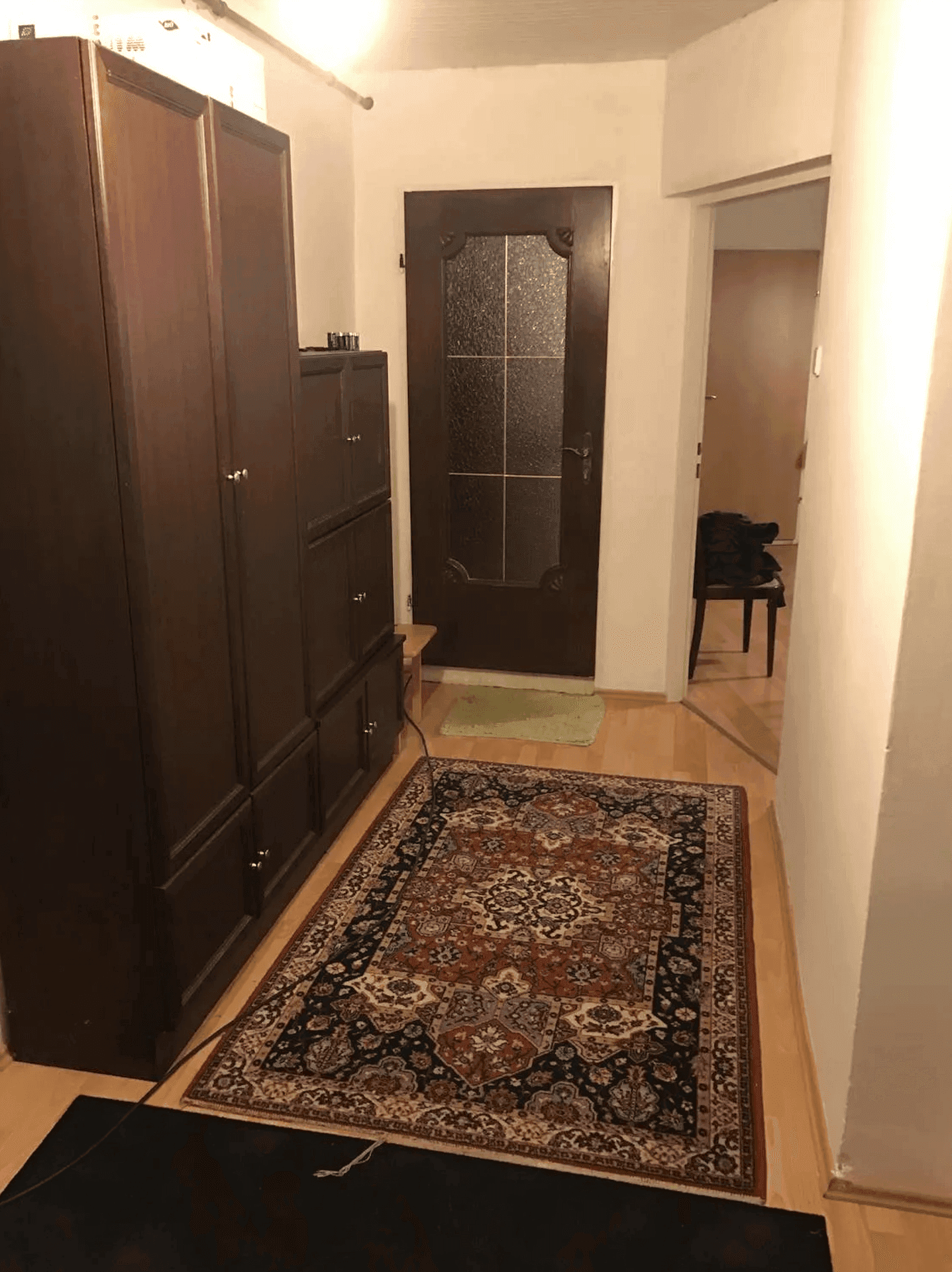 Schmaler Flur mit dunklem Holzschrank, Teppich und Eingangstür in warmem Licht.