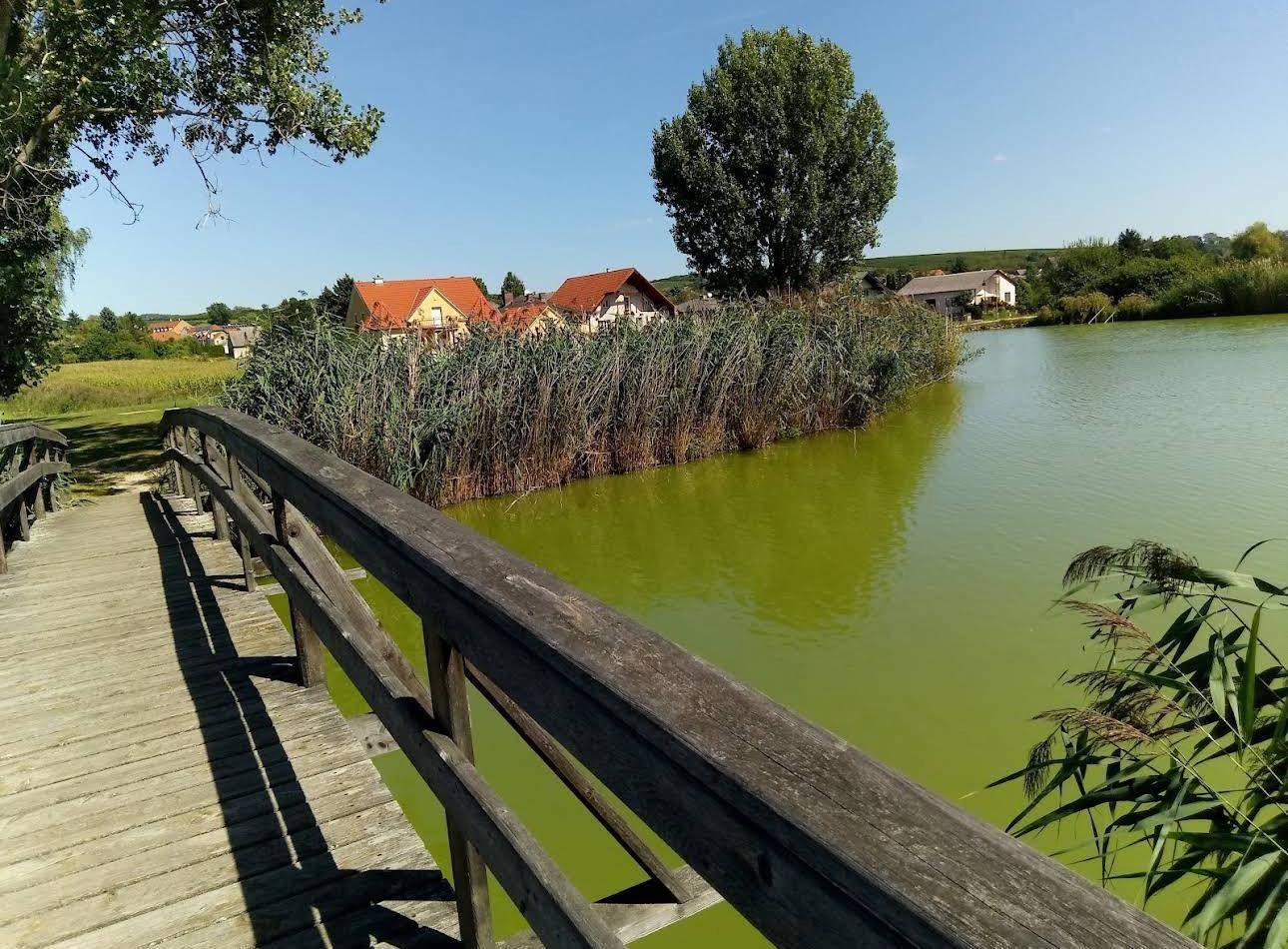 Holzbrücke über einen grünen See mit Schilf und Häusern im Hintergrund unter blauem Himmel.