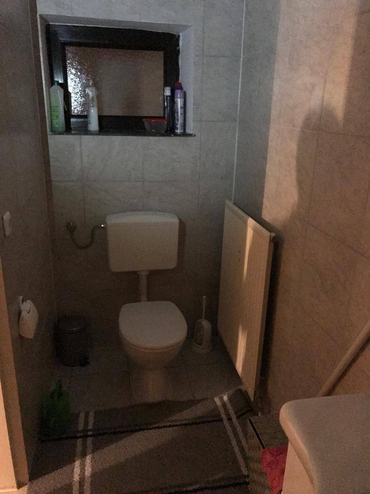 Kleines WC mit Toilette, Heizkörper und Fenster in gefliestem Raum mit Teppich.