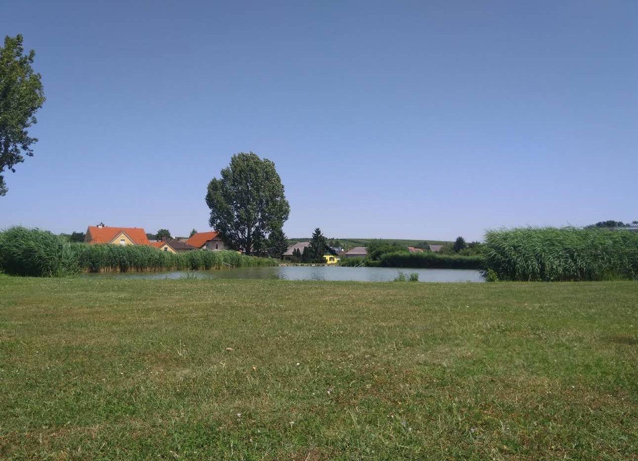 Weitläufige grüne Wiese am Ufer eines Sees mit Häusern und Bäumen im Hintergrund.