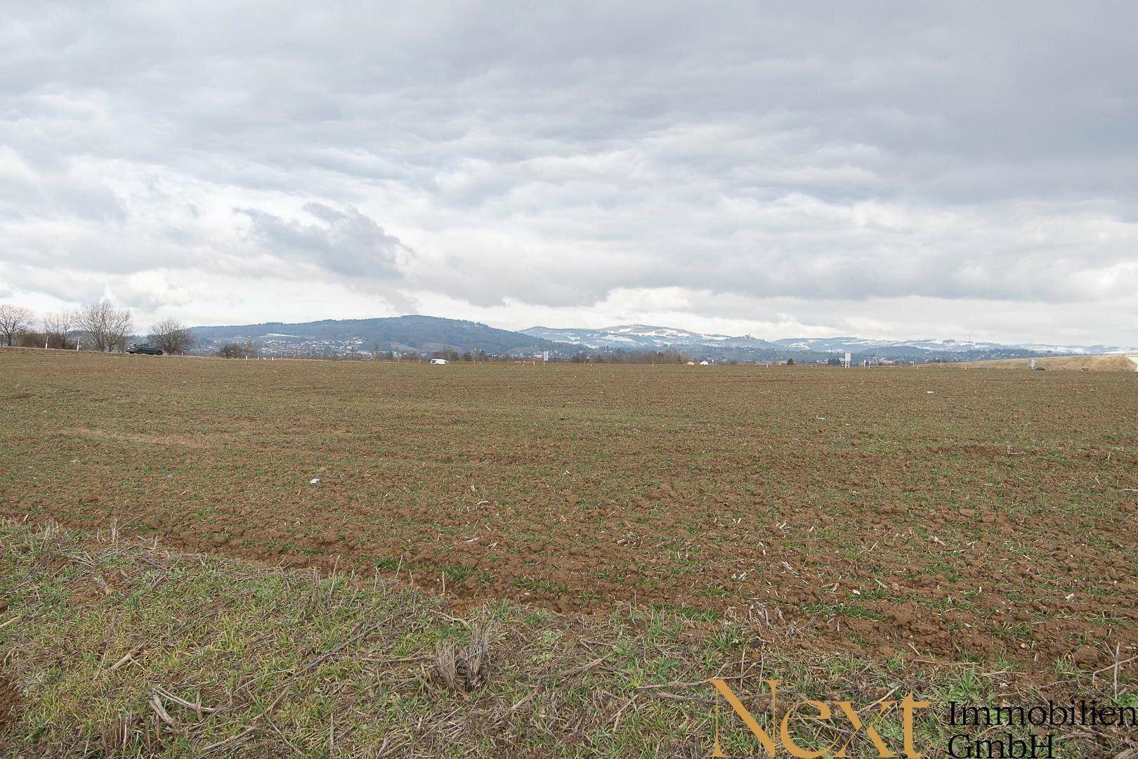 Weite Ackerlandschaft unter einem bewölkten Himmel mit schneebedeckten Bergen in der Ferne, die eine ruhige Aussicht bietet.