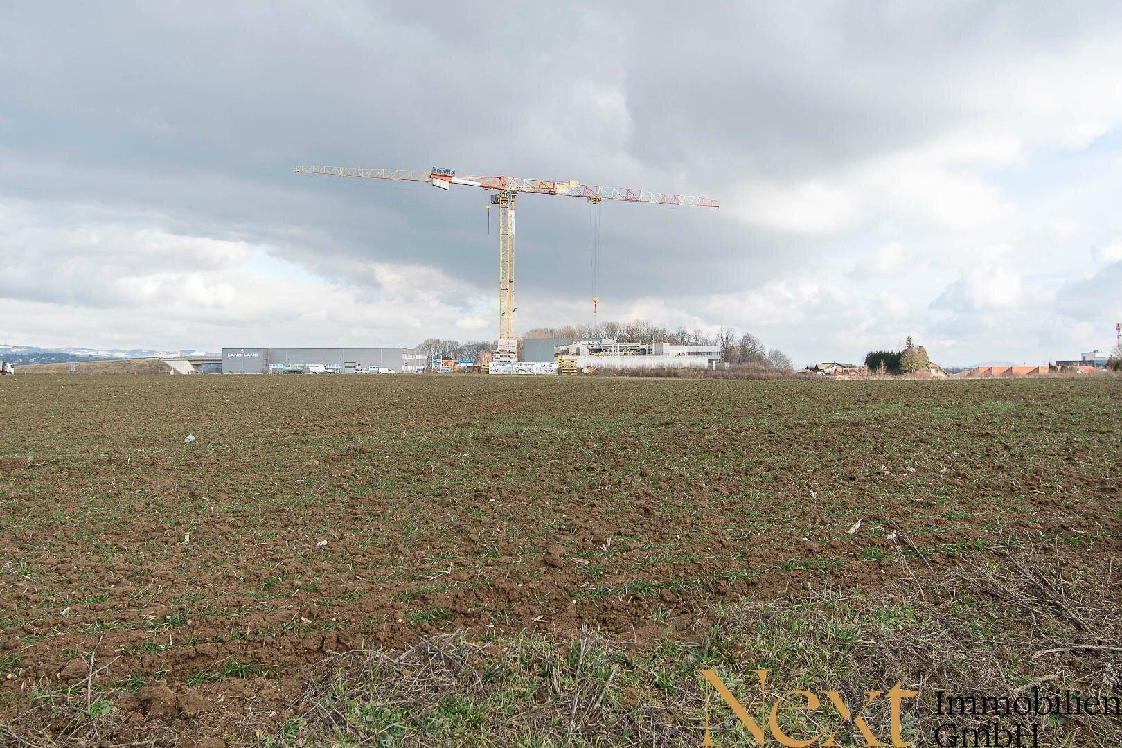 Weites Feld mit einem Baukran in der Ferne unter einem bewölkten Himmel, deutet auf zukünftige Entwicklung hin.