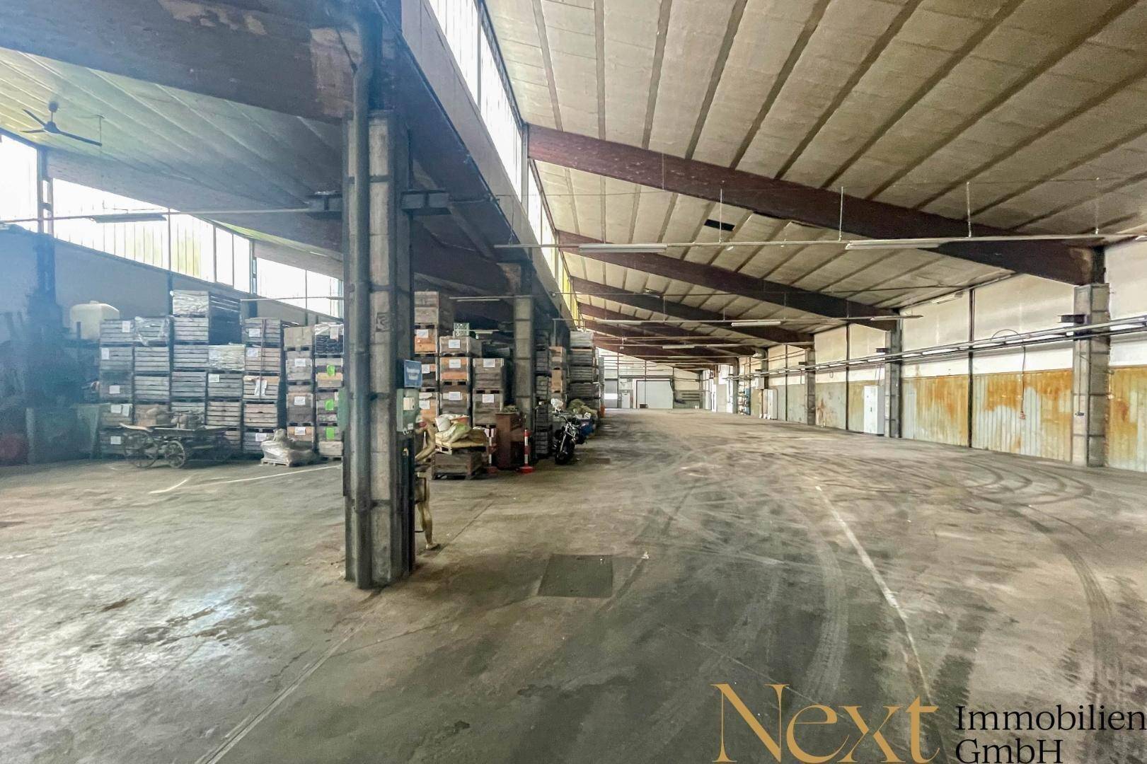 Weitläufige Lagerhalle mit Betonboden, hohen Decken und sichtbaren Stützpfeilern und Dachkonstruktion.