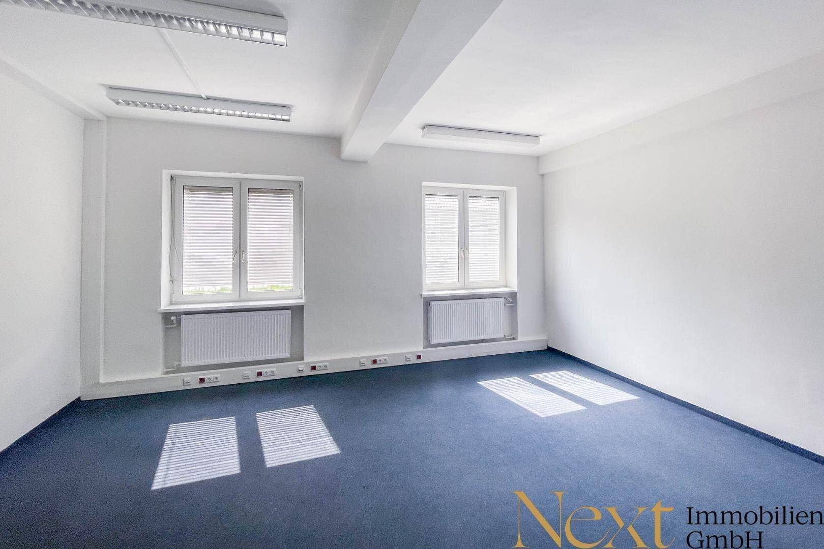 Helles Büro mit blauem Teppichboden und großen Fenstern, ideal für konzentriertes Arbeiten.