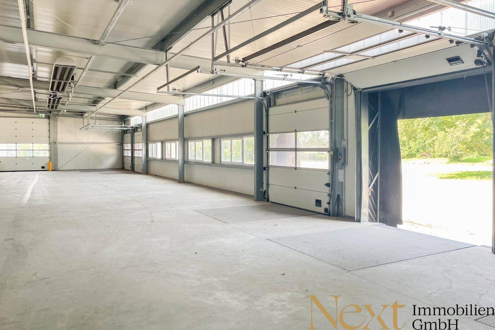 Geräumige Lagerhalle mit geöffnetem Rolltor und Blick ins Grüne, ideal für Logistik und Warenannahme.