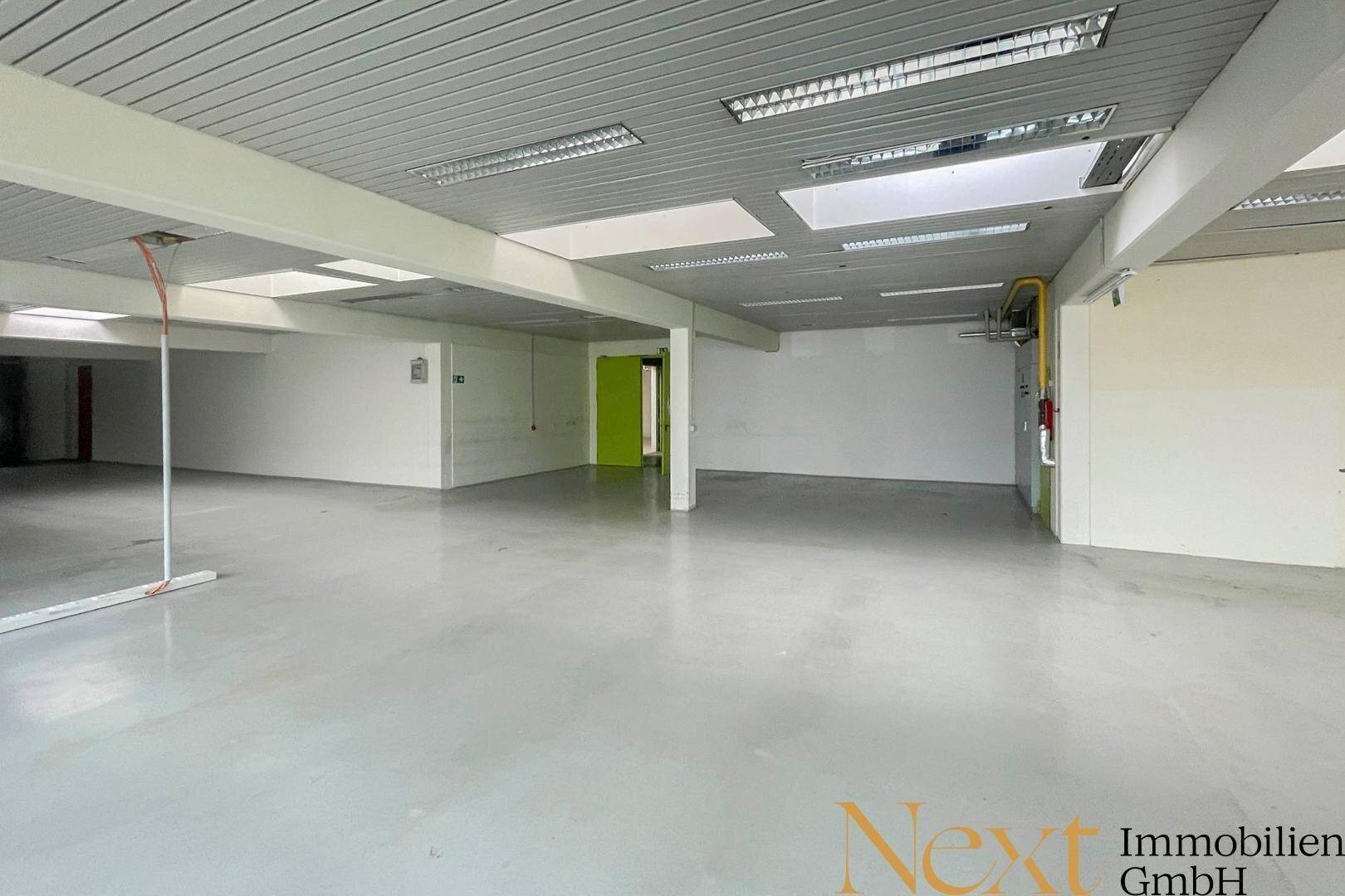 Großer, leerer Gewerberaum mit hellem Betonboden und abgehängter Decke, ideal für flexible Nutzung.