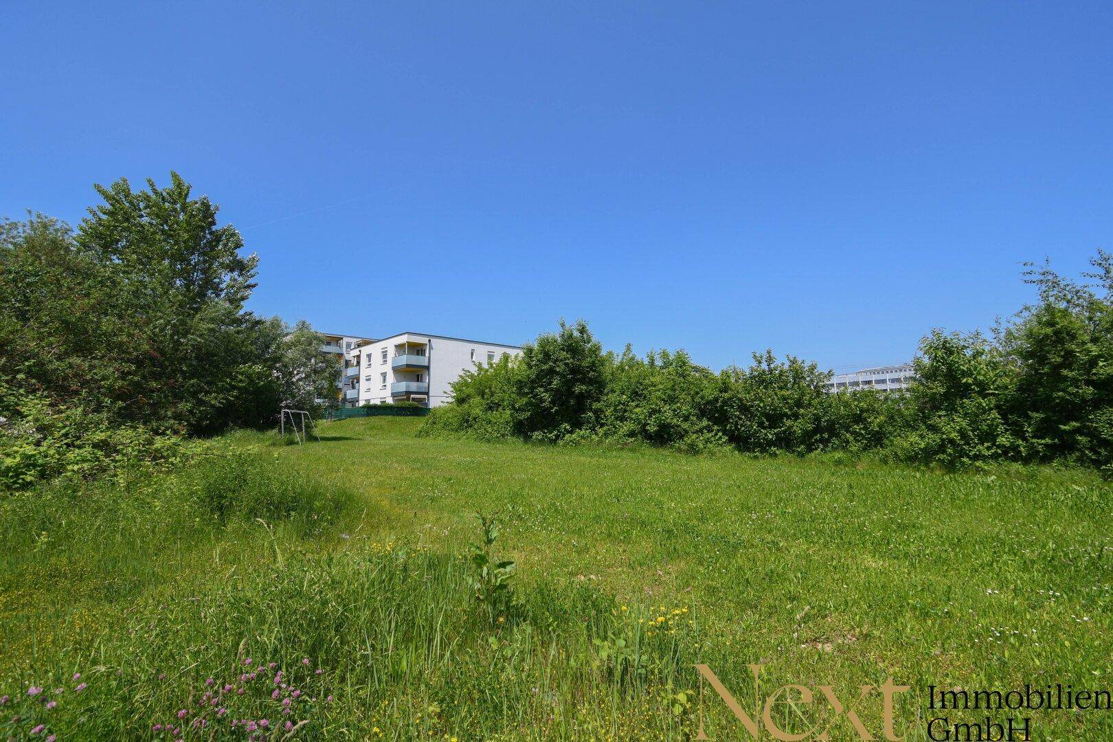 Weitläufige grüne Wiese mit einem kleinen Fußballtor im Hintergrund, umgeben von Bäumen und einem Wohngebäude unter klarem Himmel.
