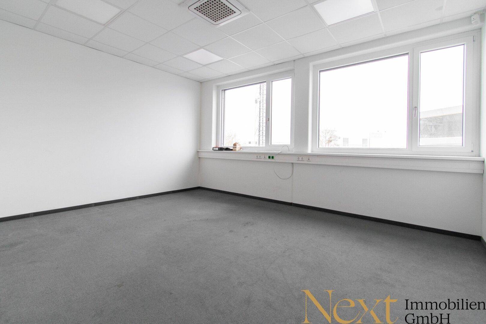 Geräumiger Büroraum mit Teppichboden, großen Fenstern und abgehängter Decke.