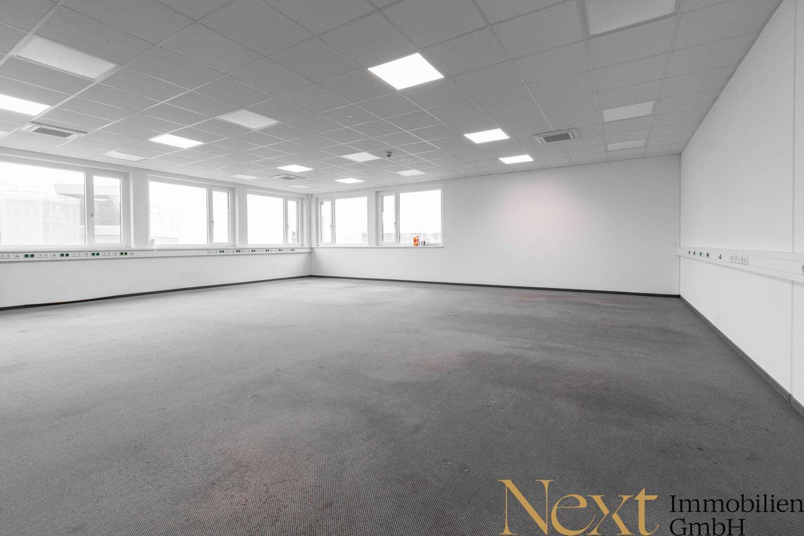 Weitläufiger Bürobereich mit Teppichboden, vielen Fenstern und heller Deckenbeleuchtung.