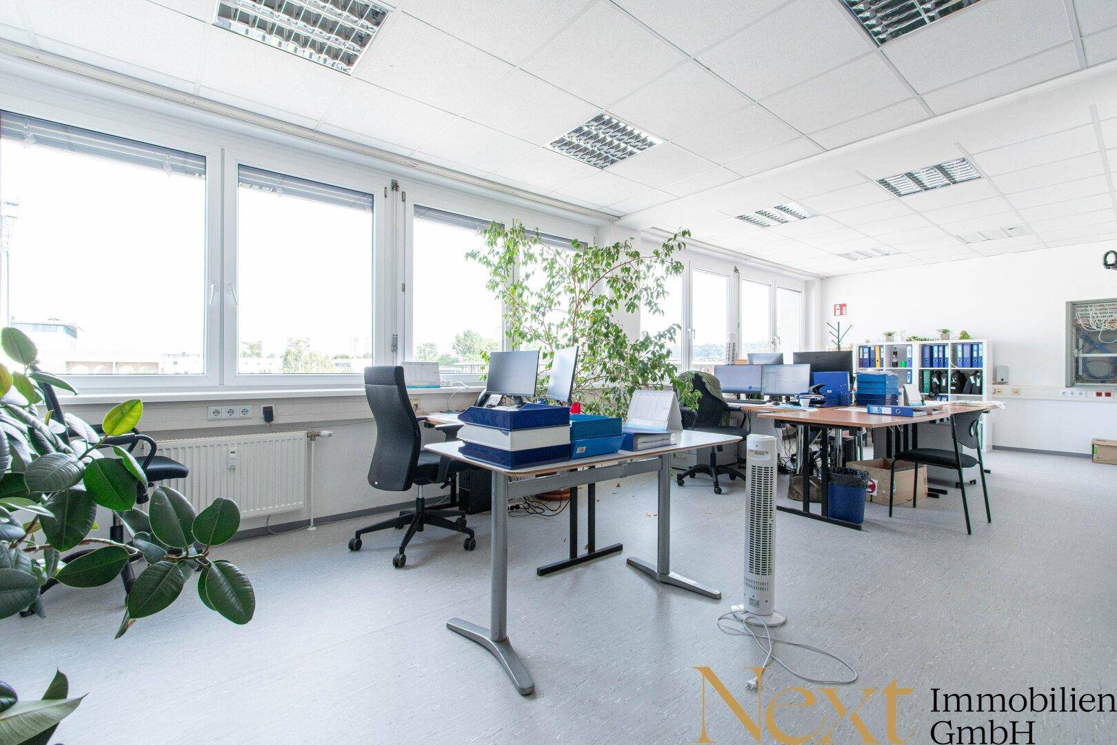 Helles Großraumbüro mit mehreren Arbeitsplätzen, großen Fenstern und Pflanzen für eine angenehme Atmosphäre.