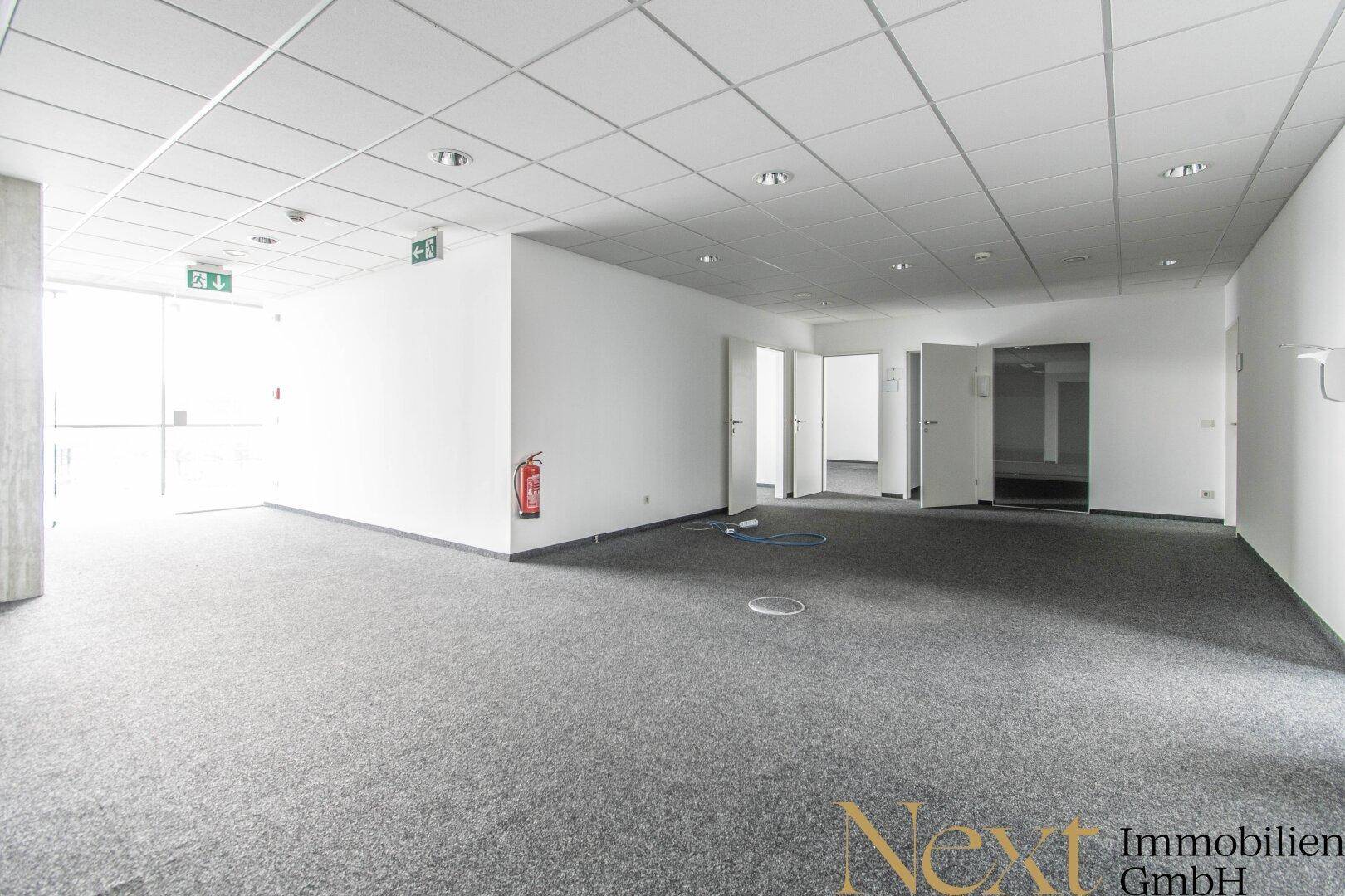 Großer, offener Bürobereich mit Teppichboden, abgehängter Decke und mehreren Türen, bereit zur Einrichtung.