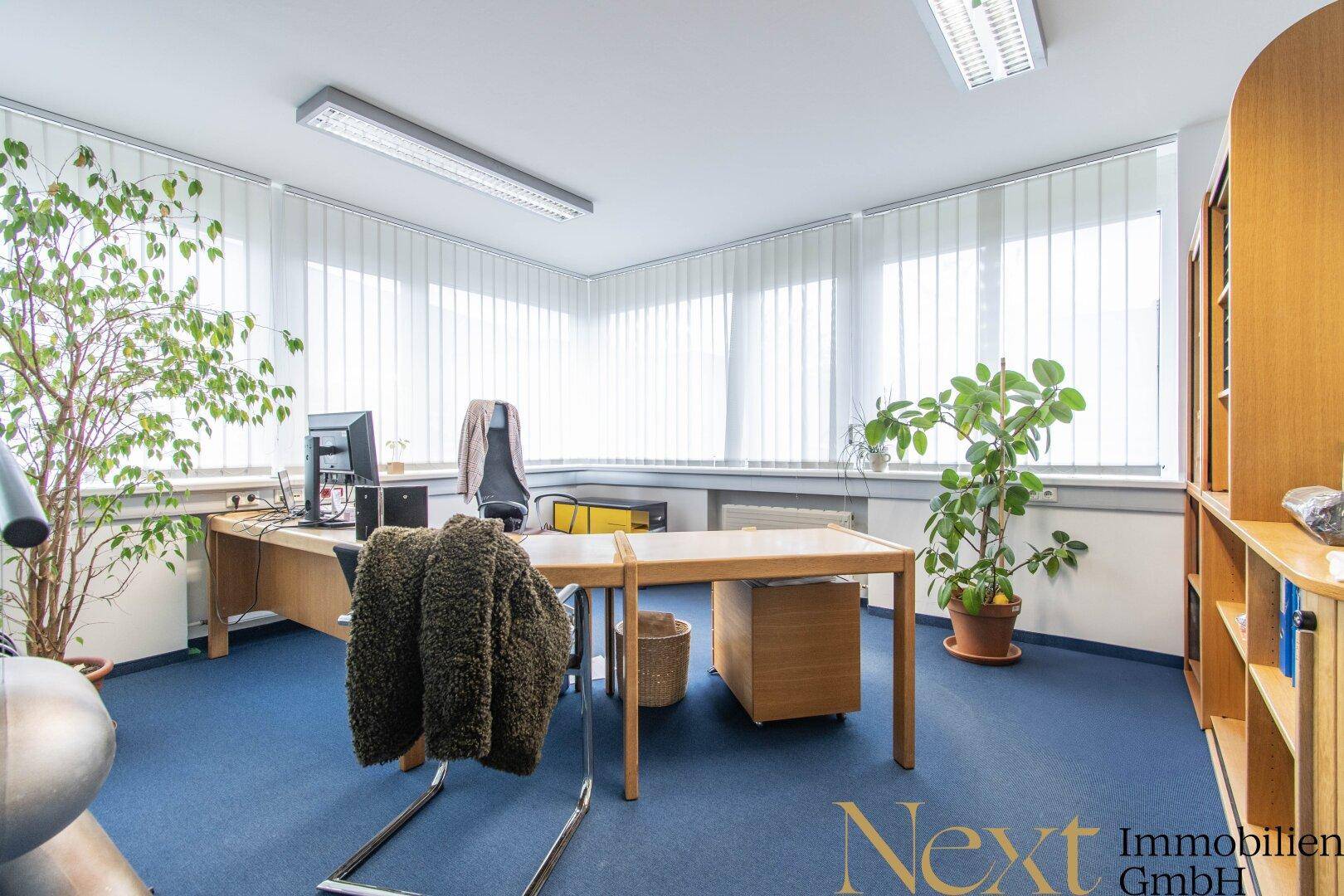 Helles Büro mit mehreren Arbeitsplätzen, blauer Teppichboden und großen Fenstern mit vertikalen Jalousien.