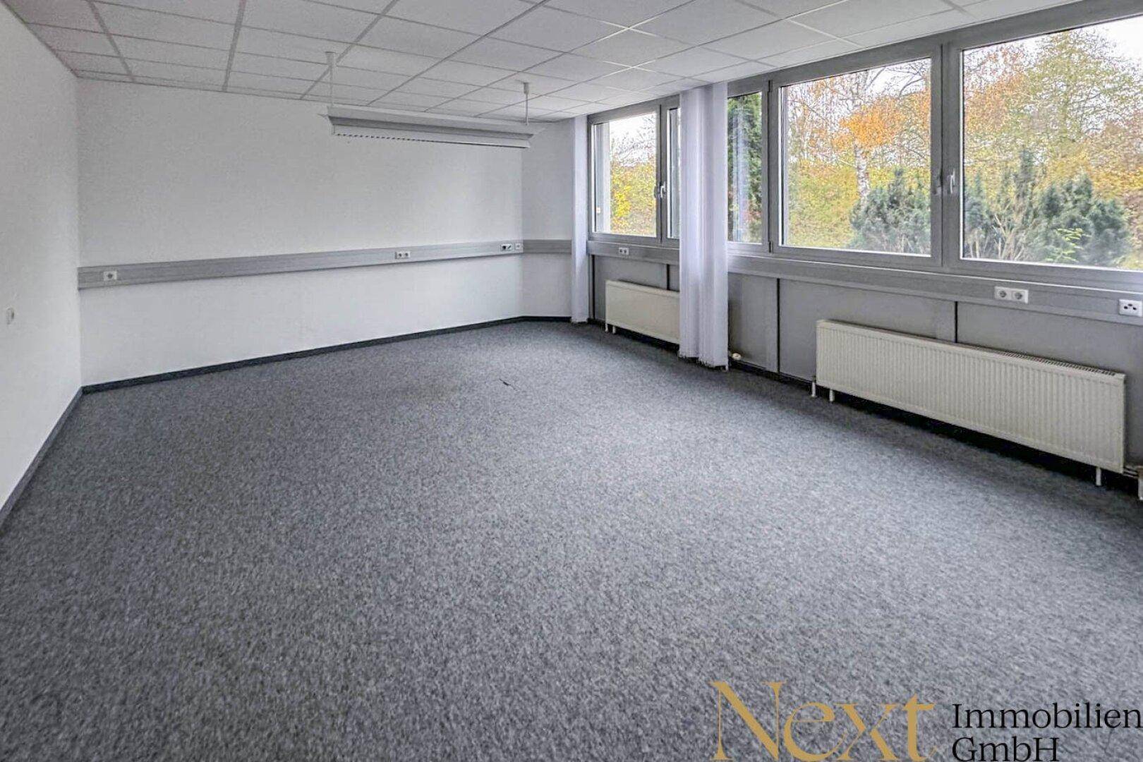 Geräumiges Büro mit grauem Teppichboden, großen Fenstern und Blick ins Grüne.