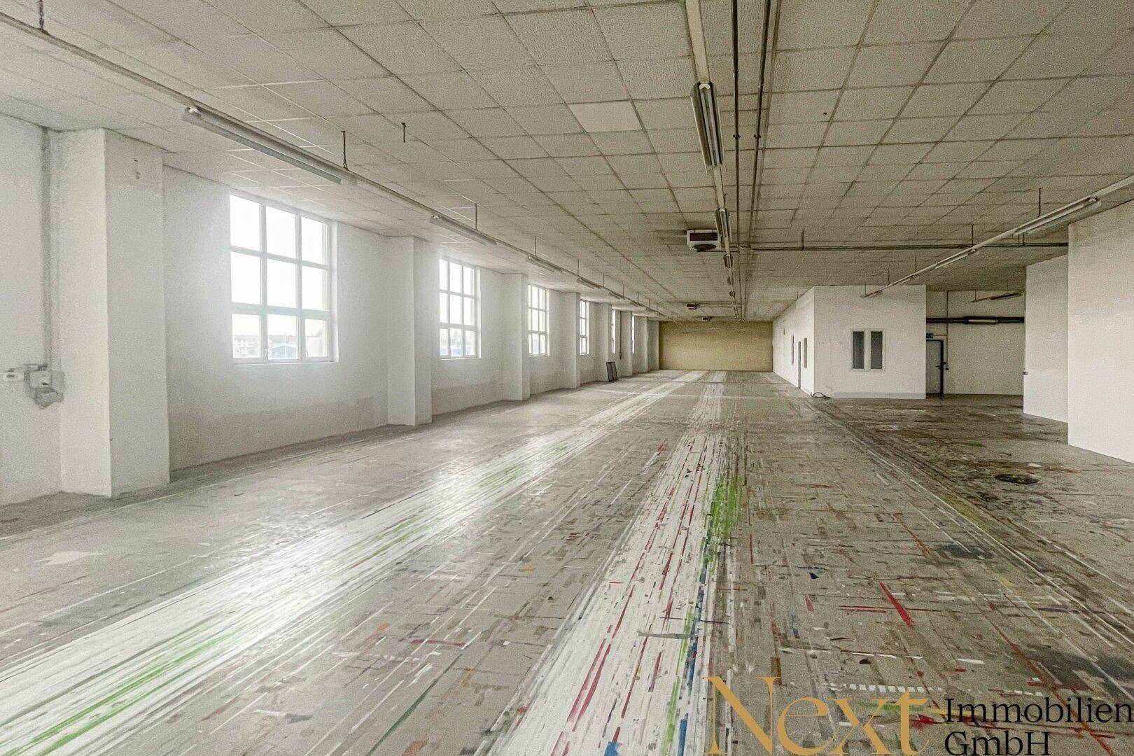 Lager-/Produktionshalle in verkehrstechnisch optimaler Lage von Enns zu vermieten! Teilbar! - Ansicht 5